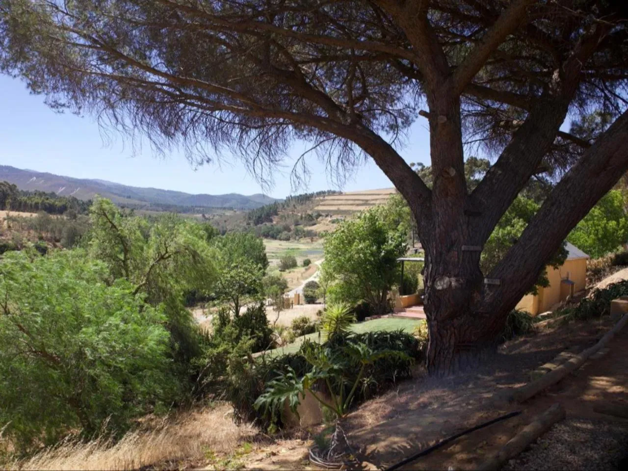 Natural landscape in Swaynekloof Farm