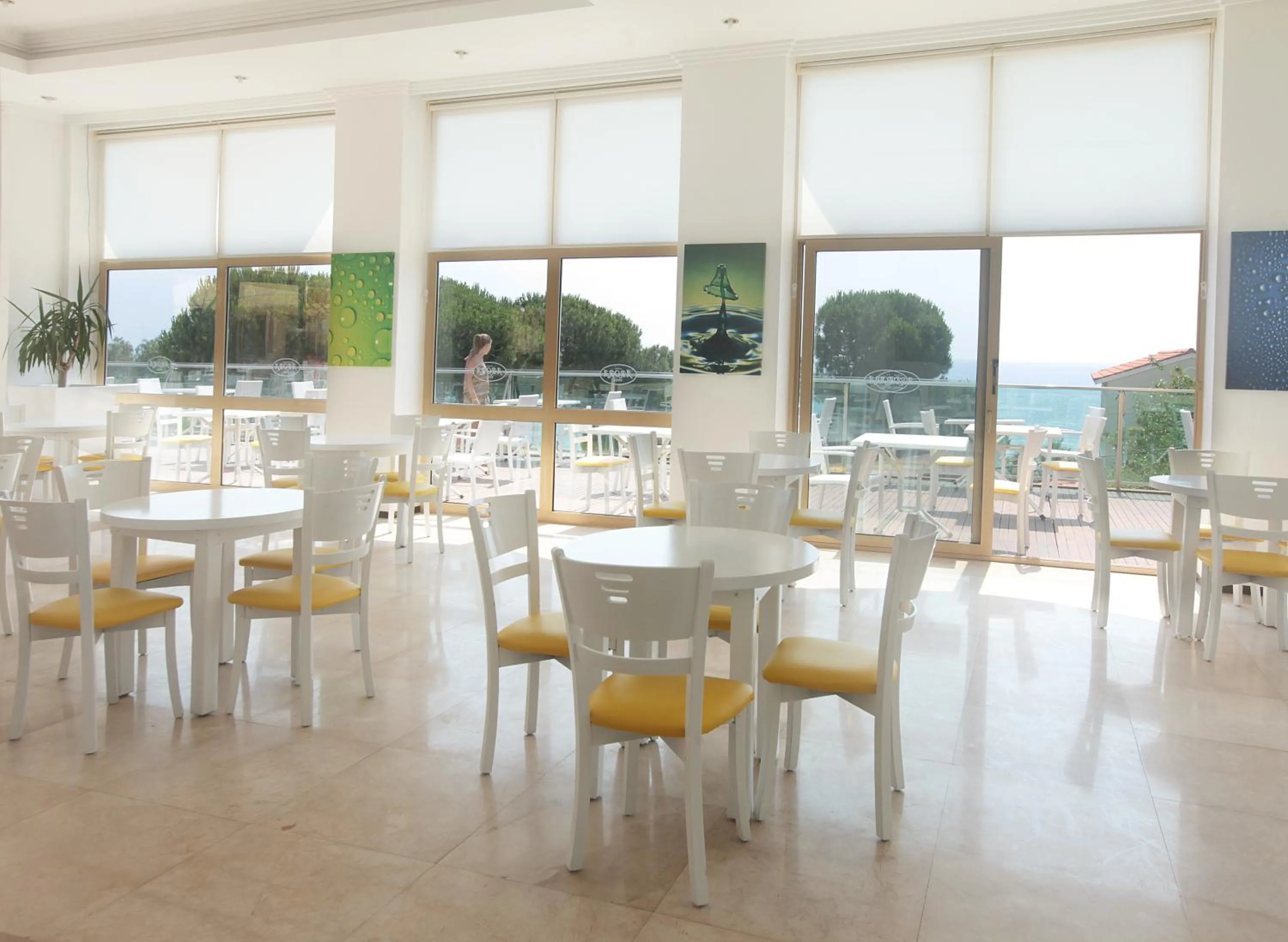 Restaurant/places to eat in Arora Hotel