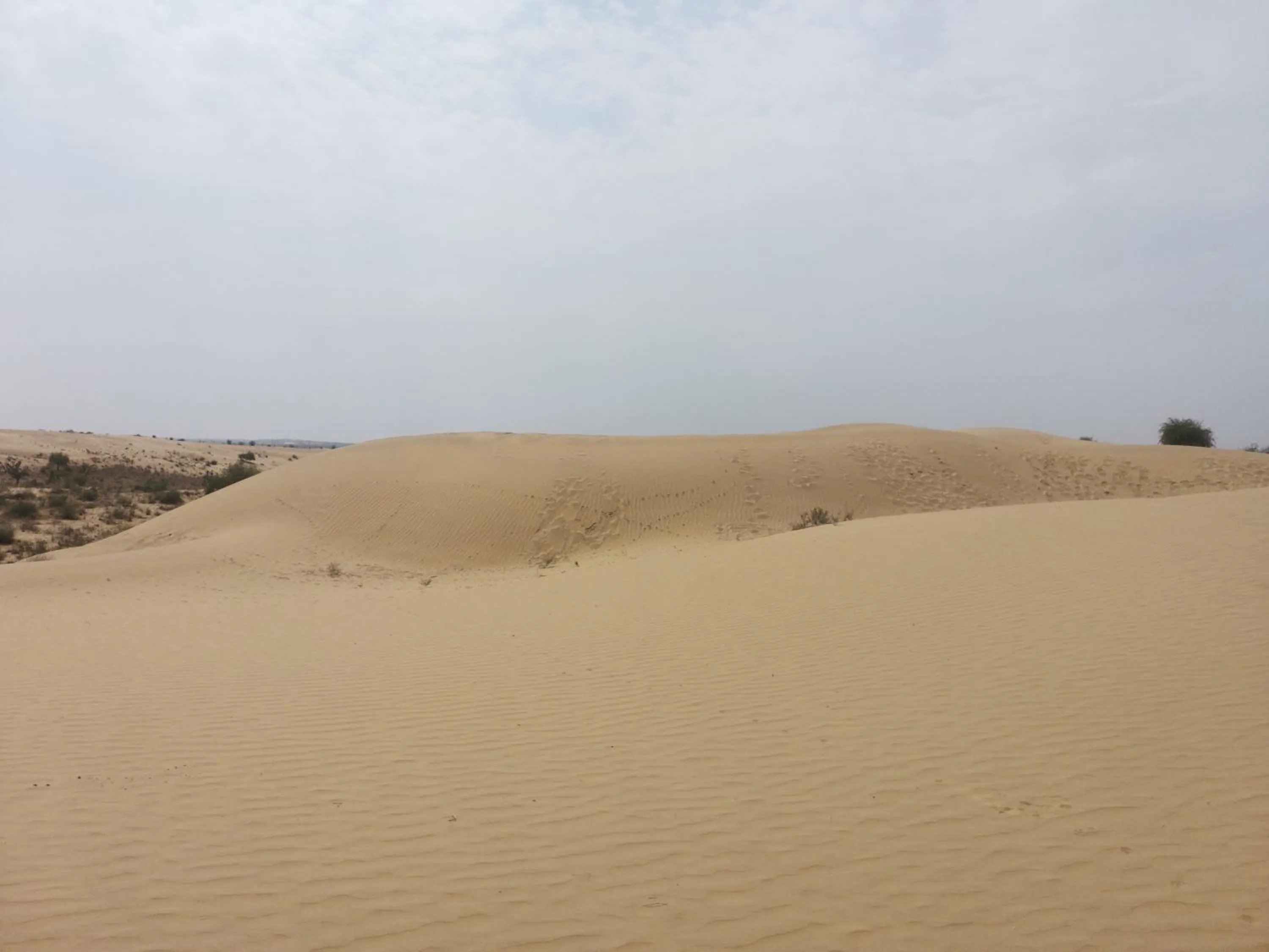 View (from property/room) in Dhora Desert Resort And Spa