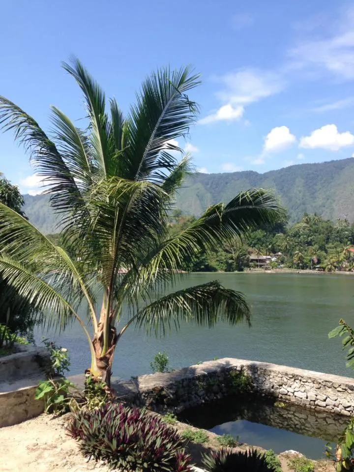 Natural landscape in Aman's Guesthouse