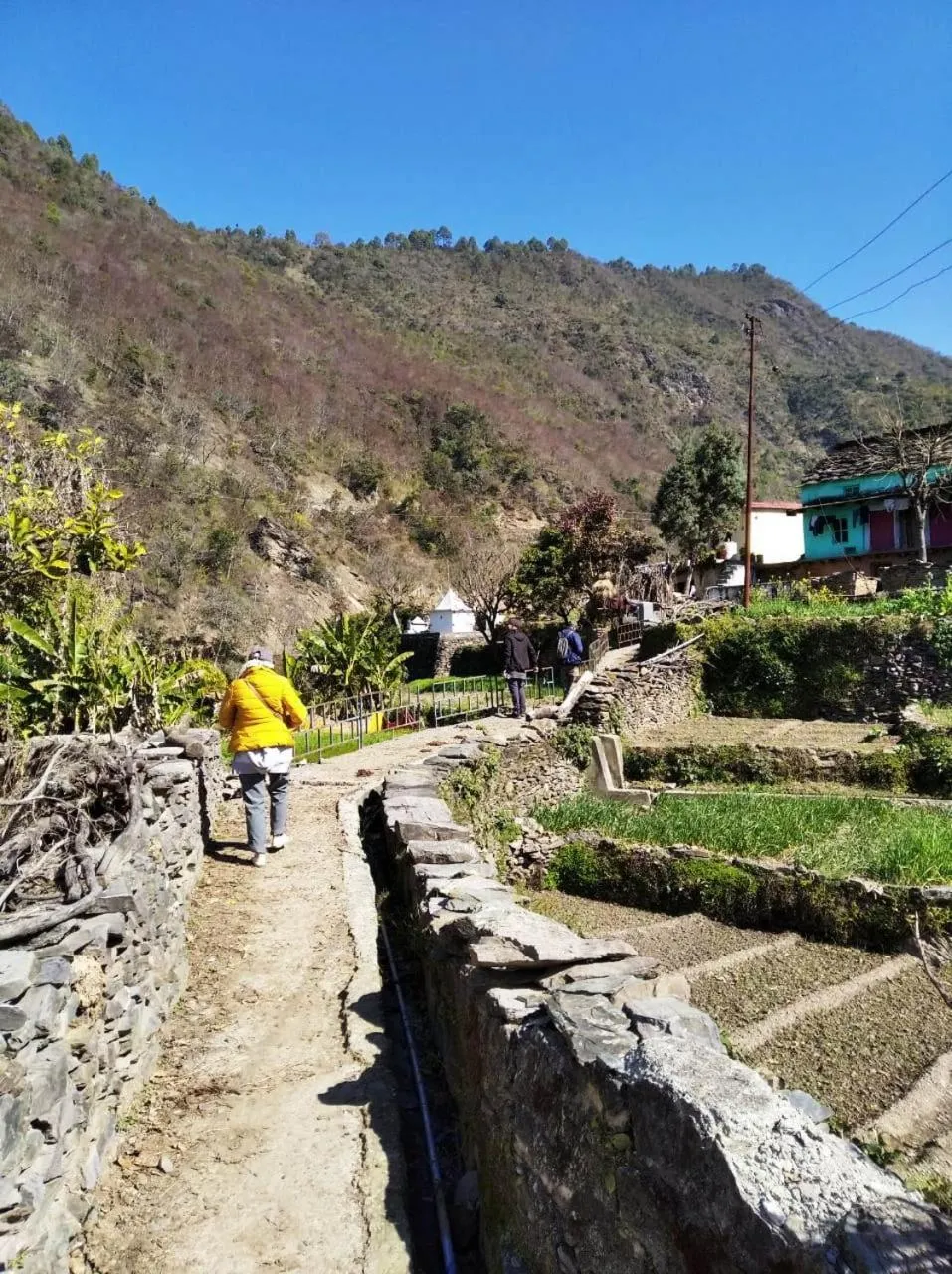Activities in Banyan By The Ganges