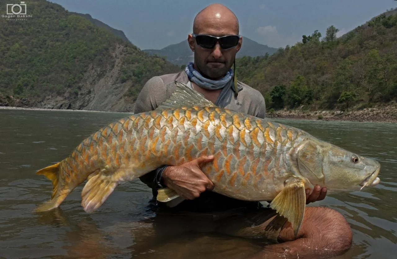 Activities in Banyan By The Ganges
