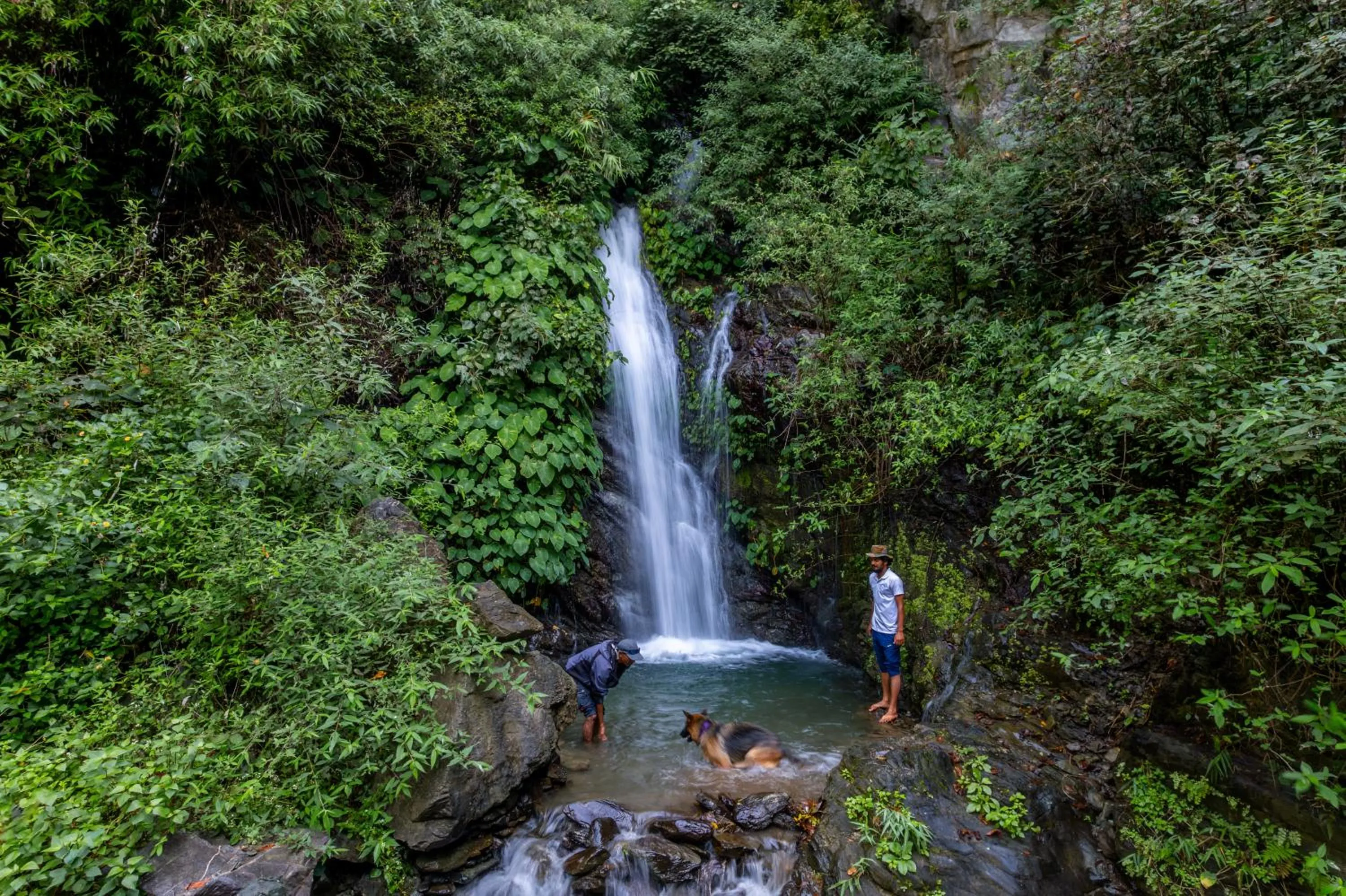 Activities in Banyan By The Ganges