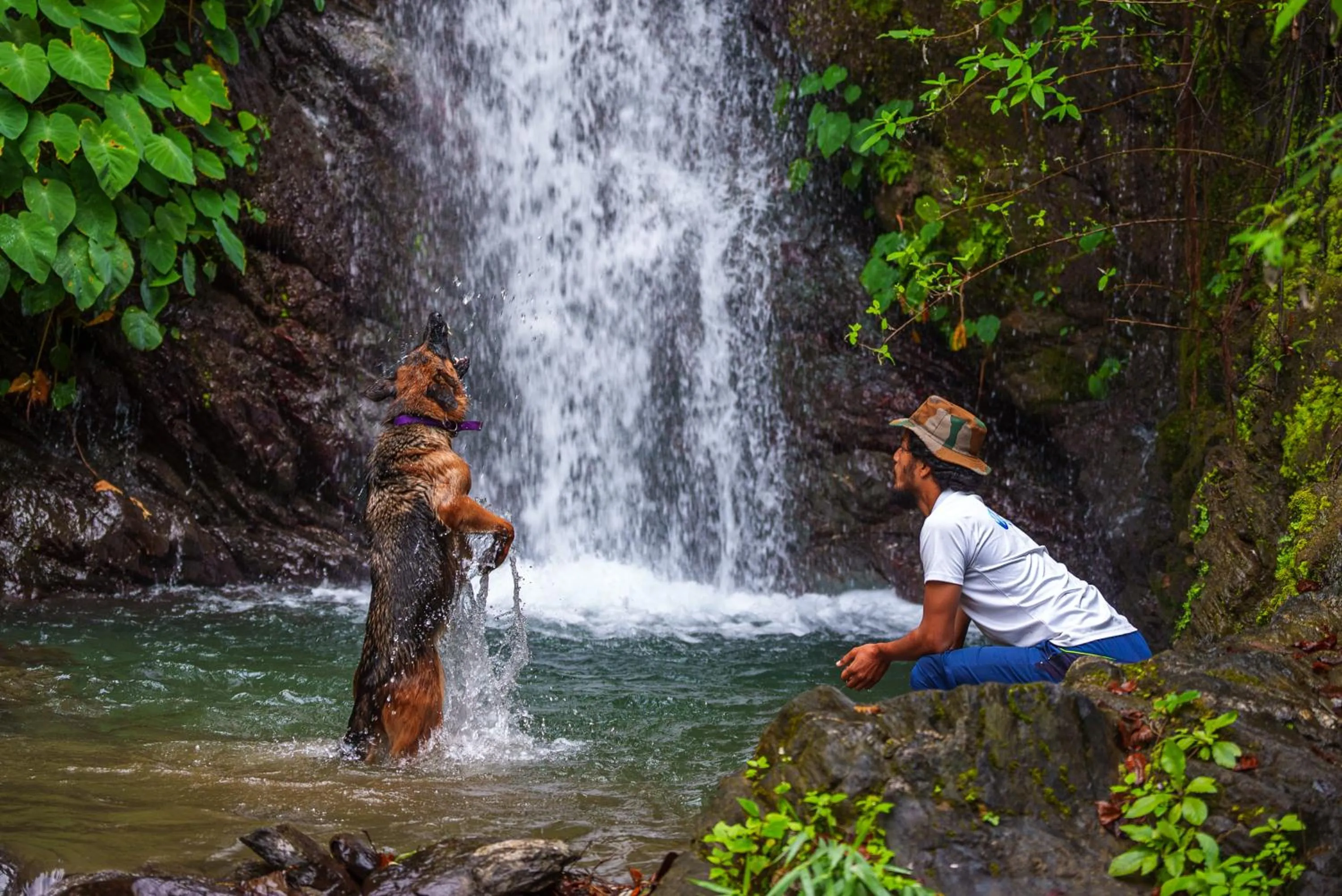 Activities in Banyan By The Ganges