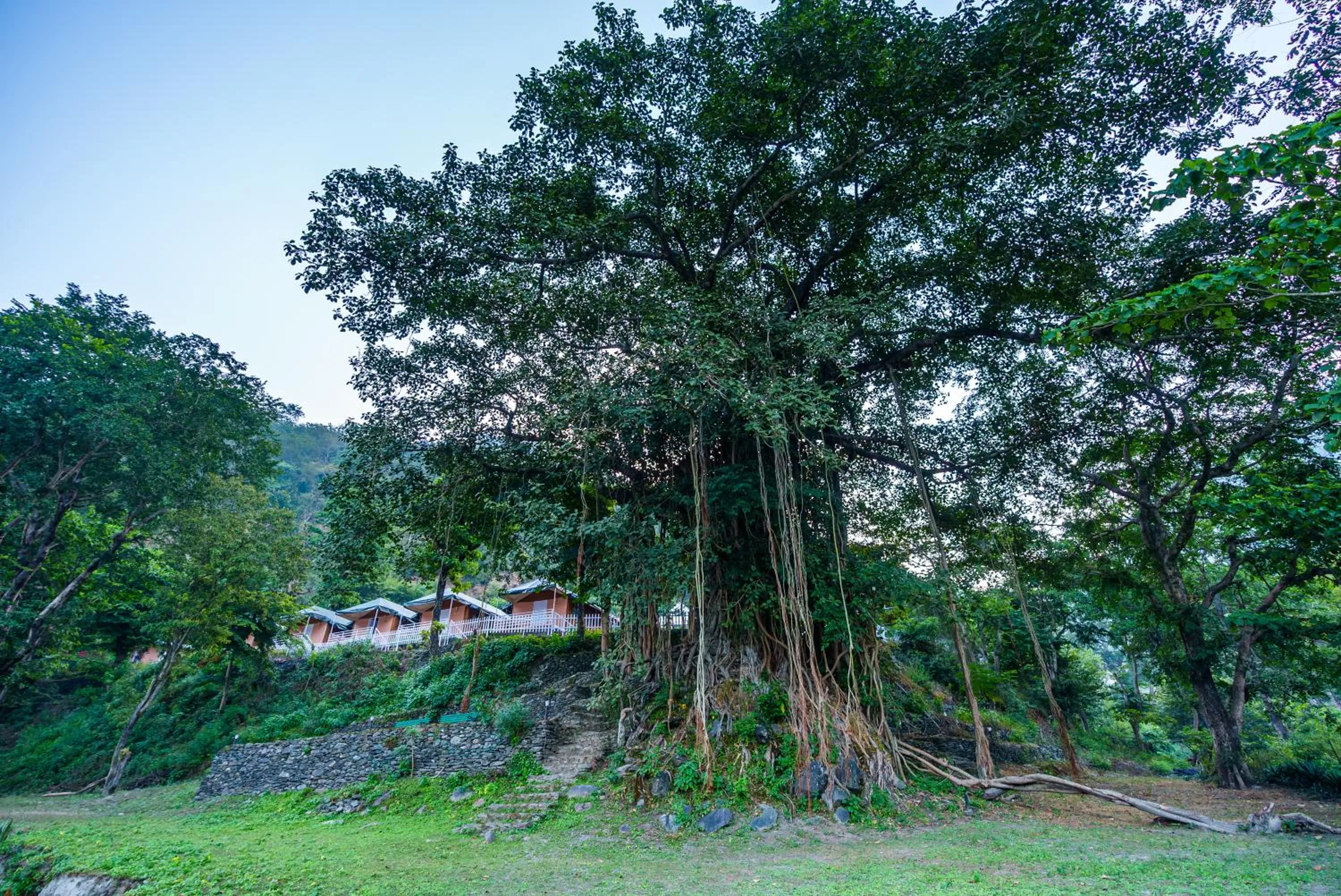 View (from property/room) in Banyan By The Ganges
