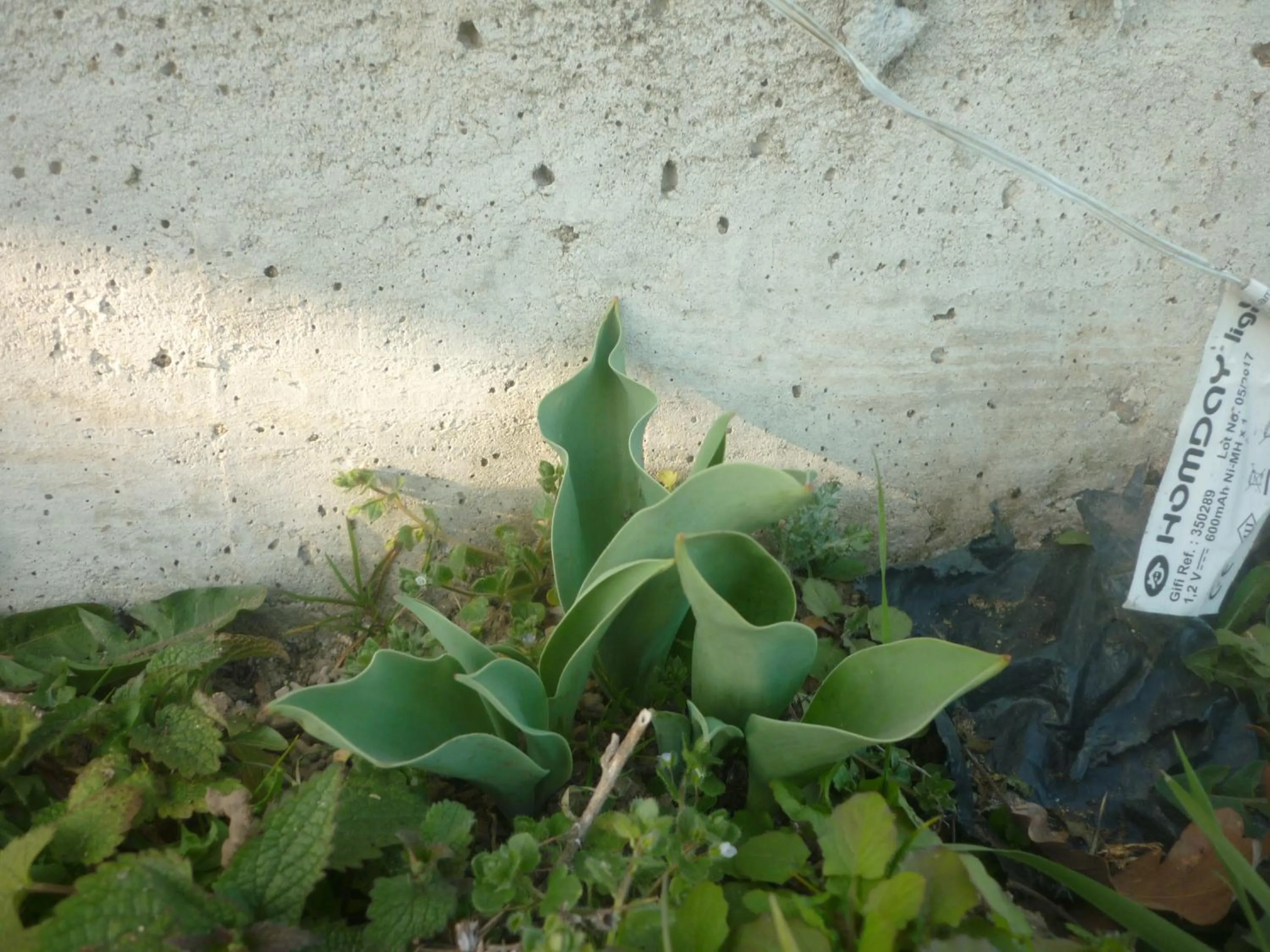 B&B Chambre Chante Cristal