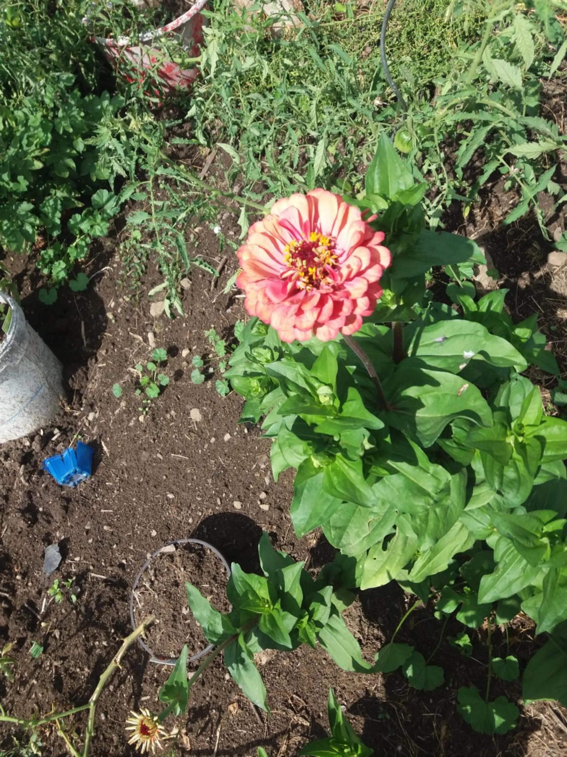 B&B Chambre Chante Cristal