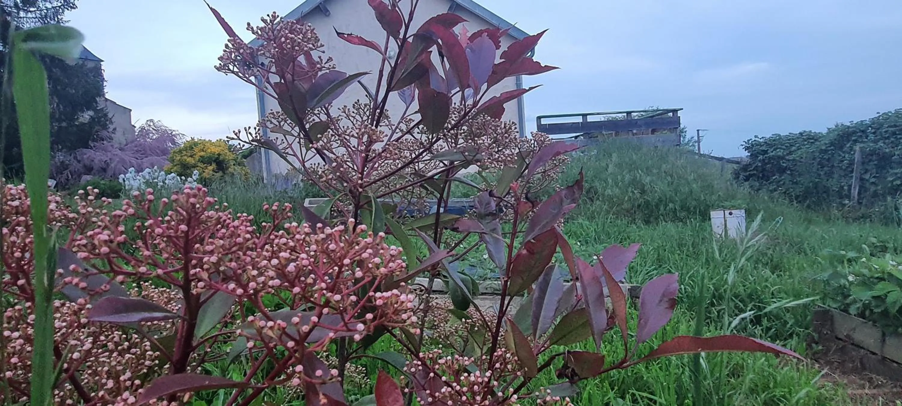 B&B Chambre Chante Cristal