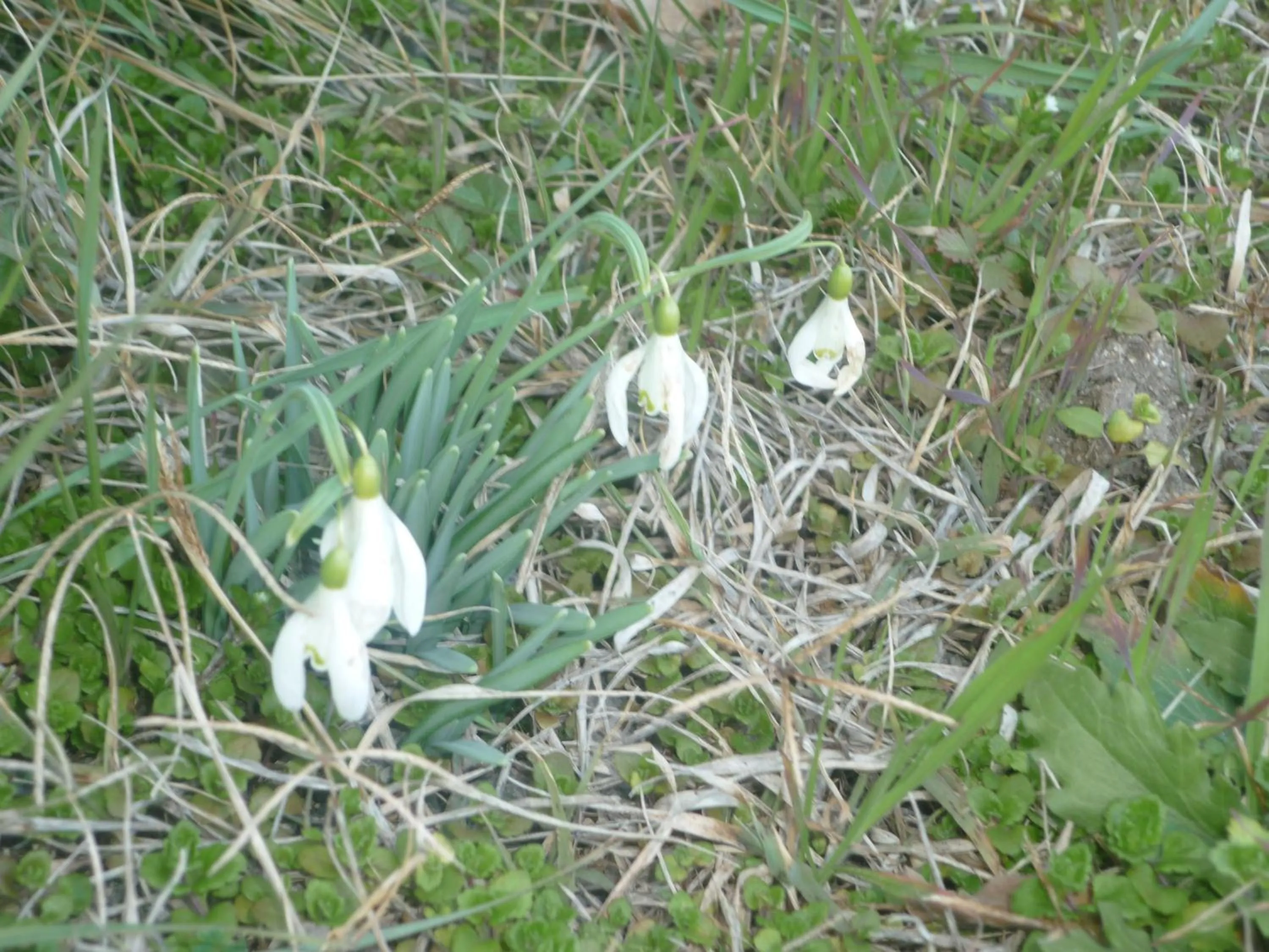 B&B Chambre Chante Cristal