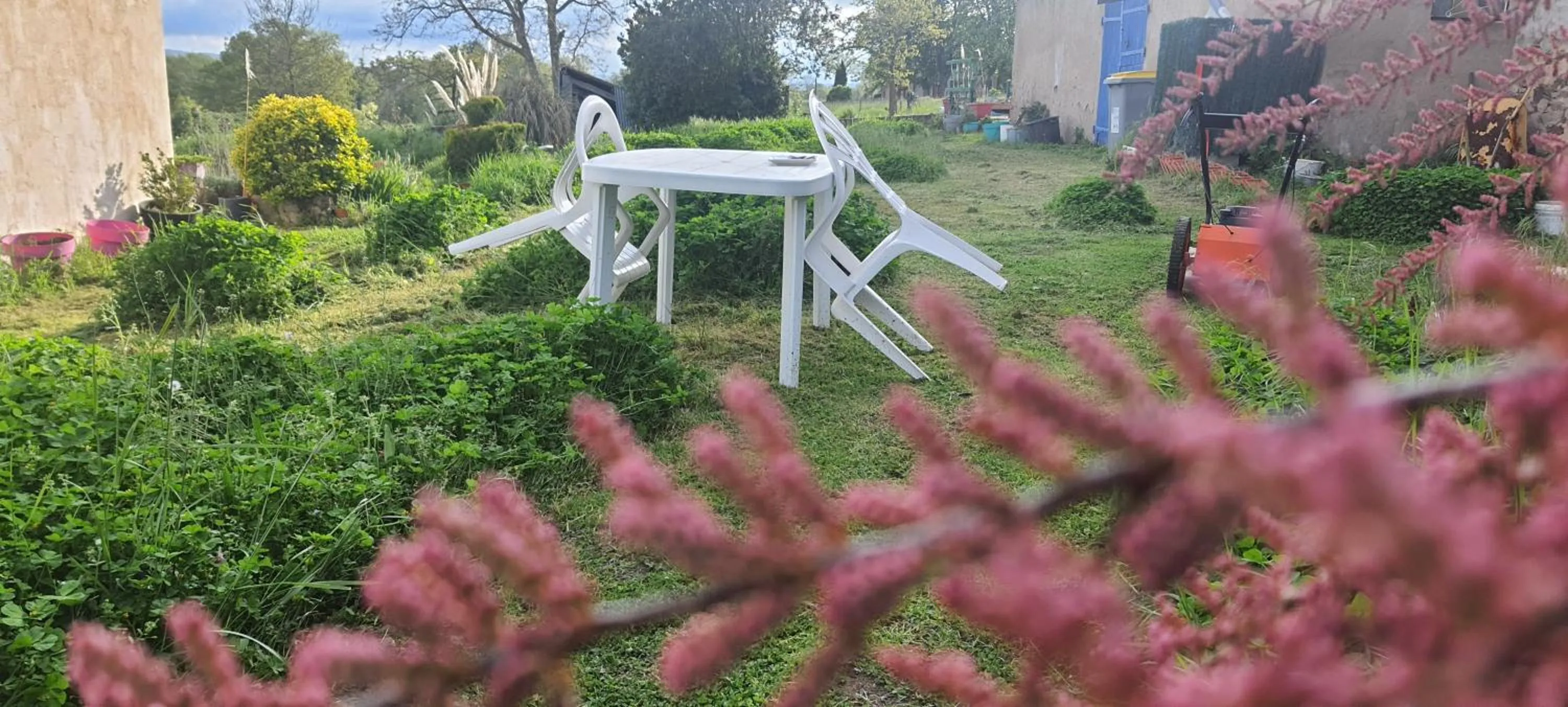 Garden in B&B Chambre Chante Cristal