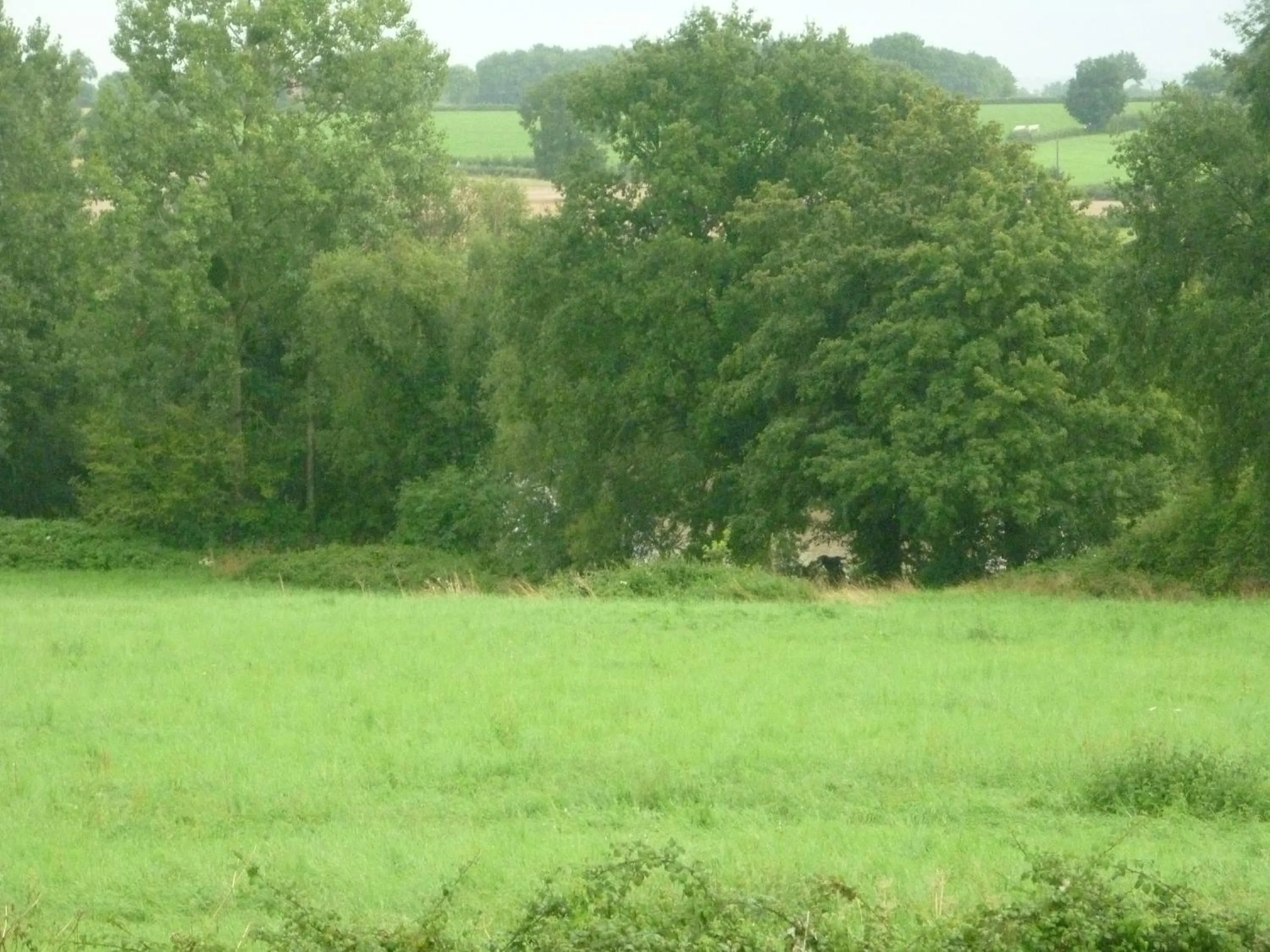 River view in B&B Chambre Chante Cristal
