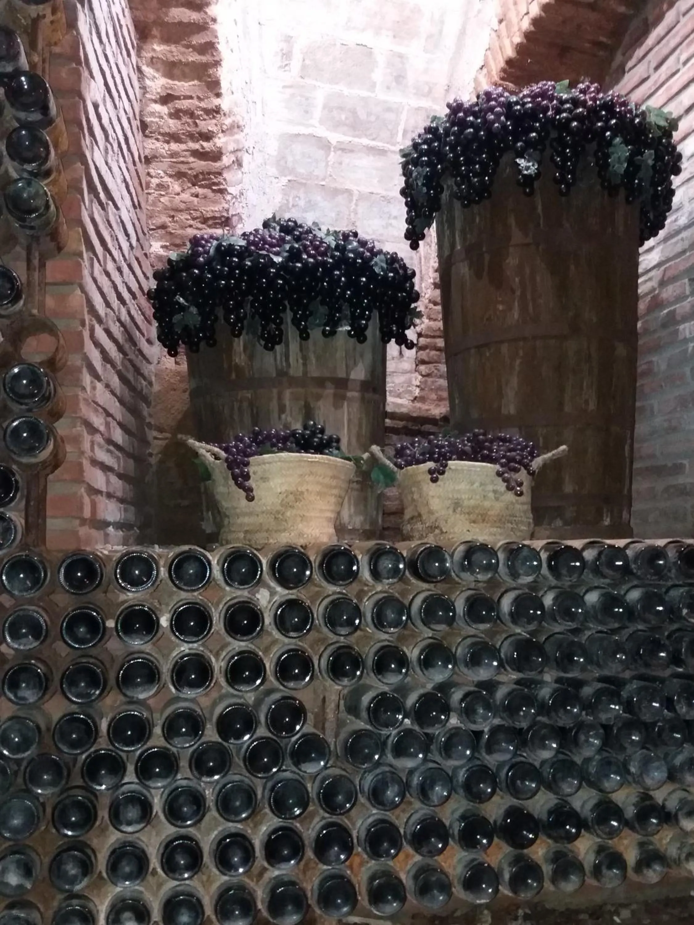 Restaurant/places to eat in Hotel Rey Sancho