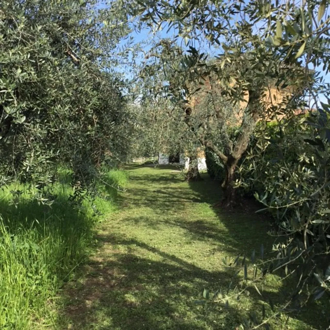 Garden in Bio Forester