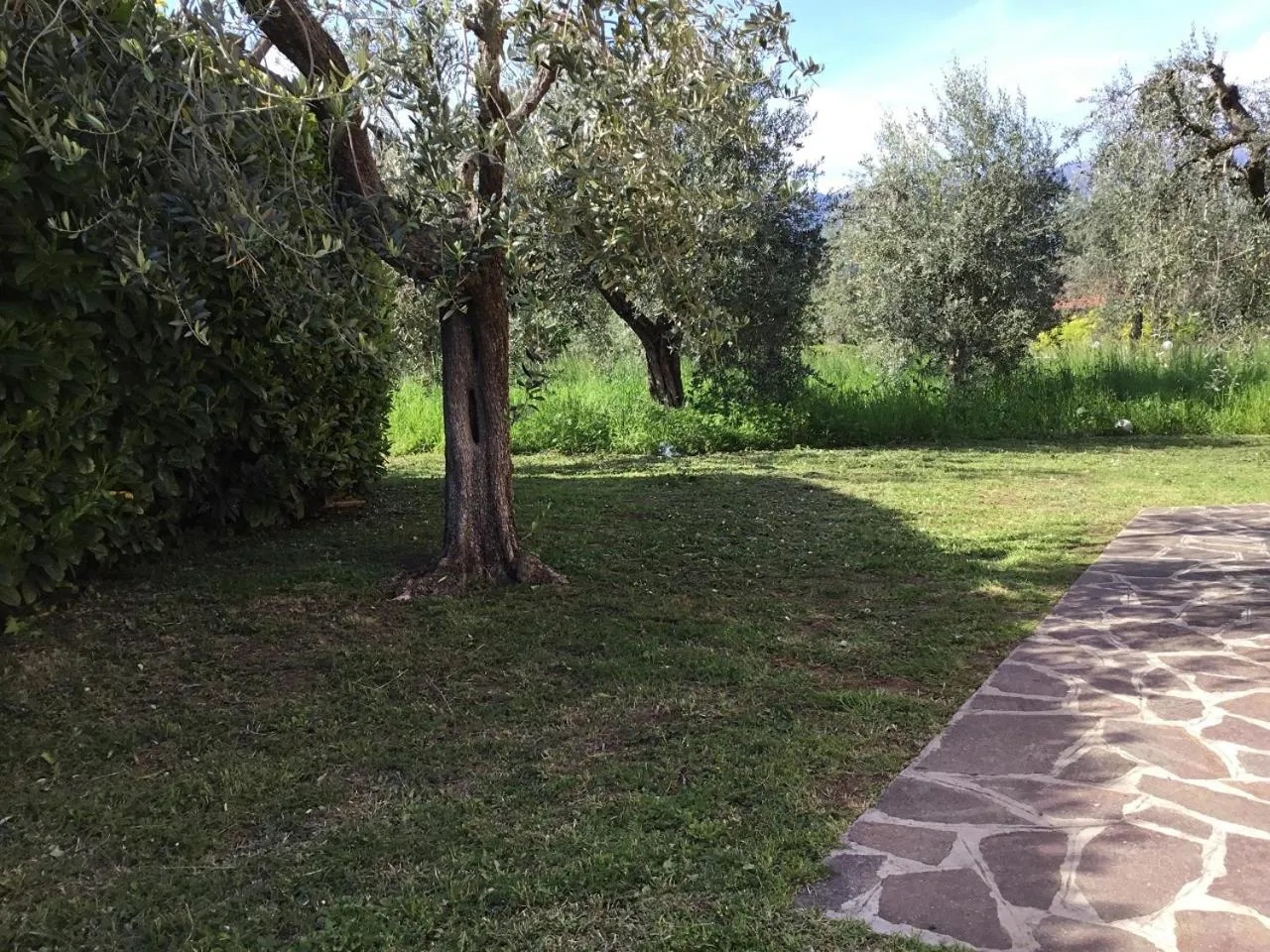 Garden view in Bio Forester