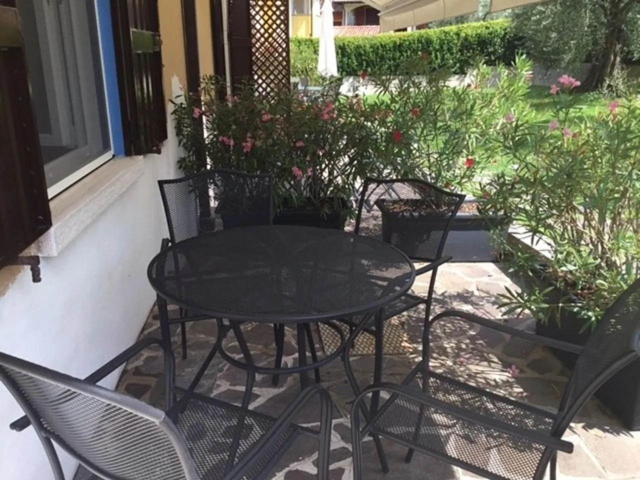 Patio in Bio Forester