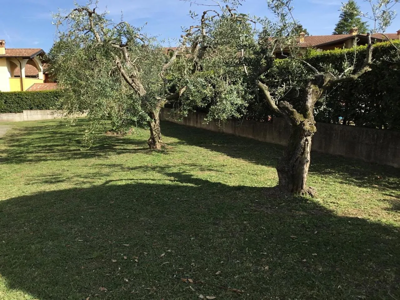 Garden view in Bio Forester