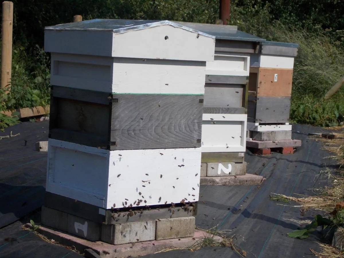 Other in The Vobster Inn