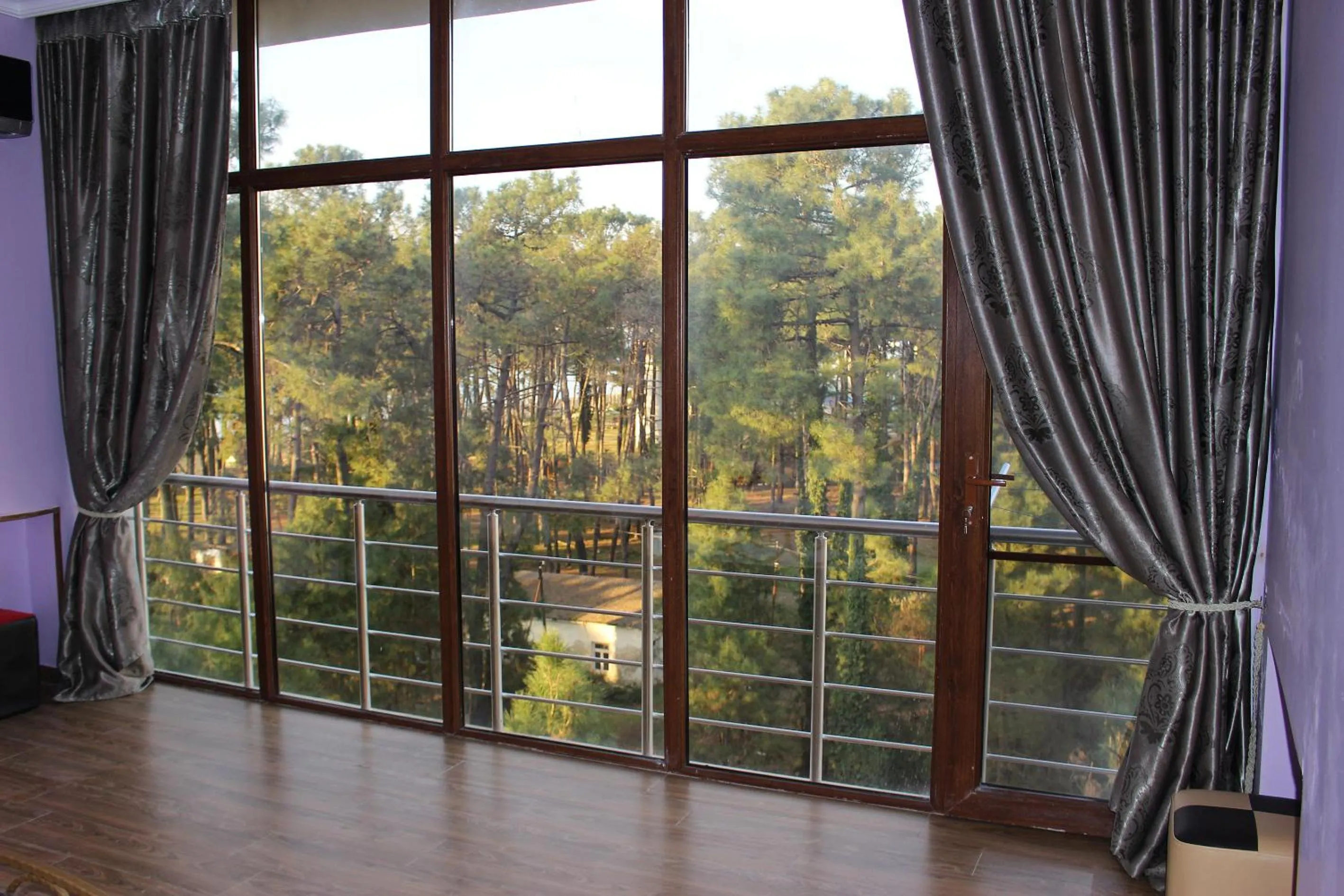 Balcony/Terrace in Hotel Inter