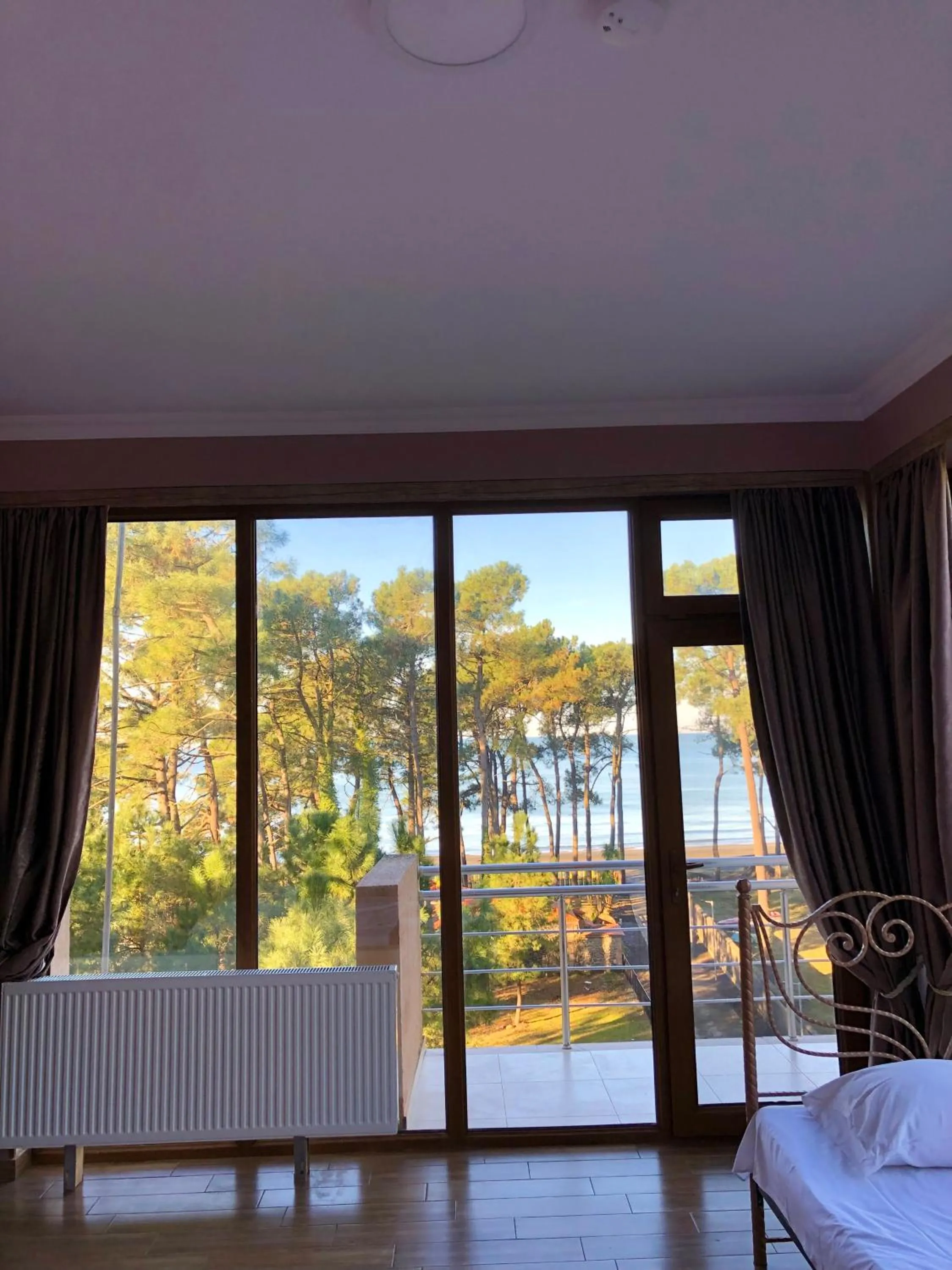 Balcony/Terrace in Hotel Inter