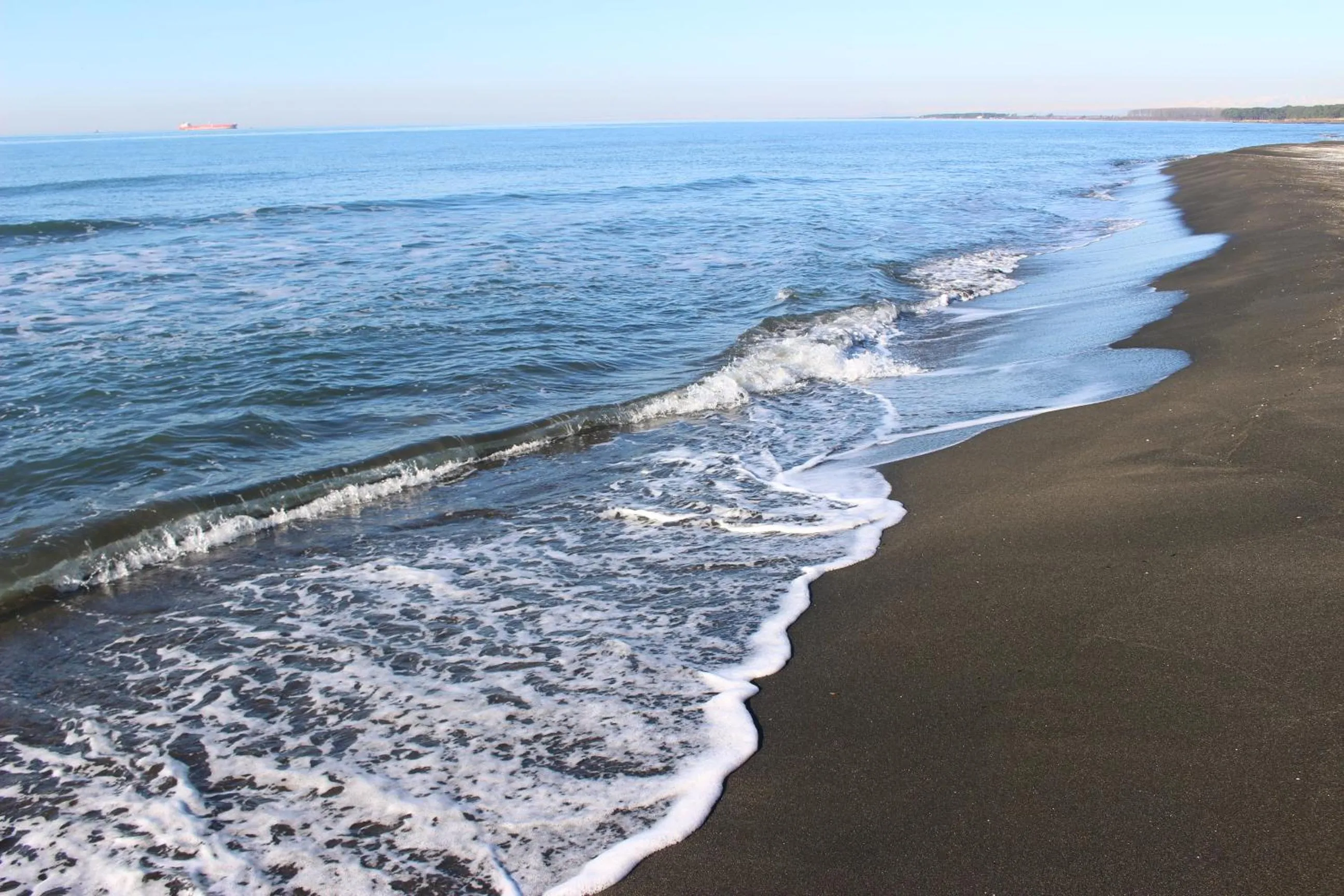 Beach in Hotel Inter