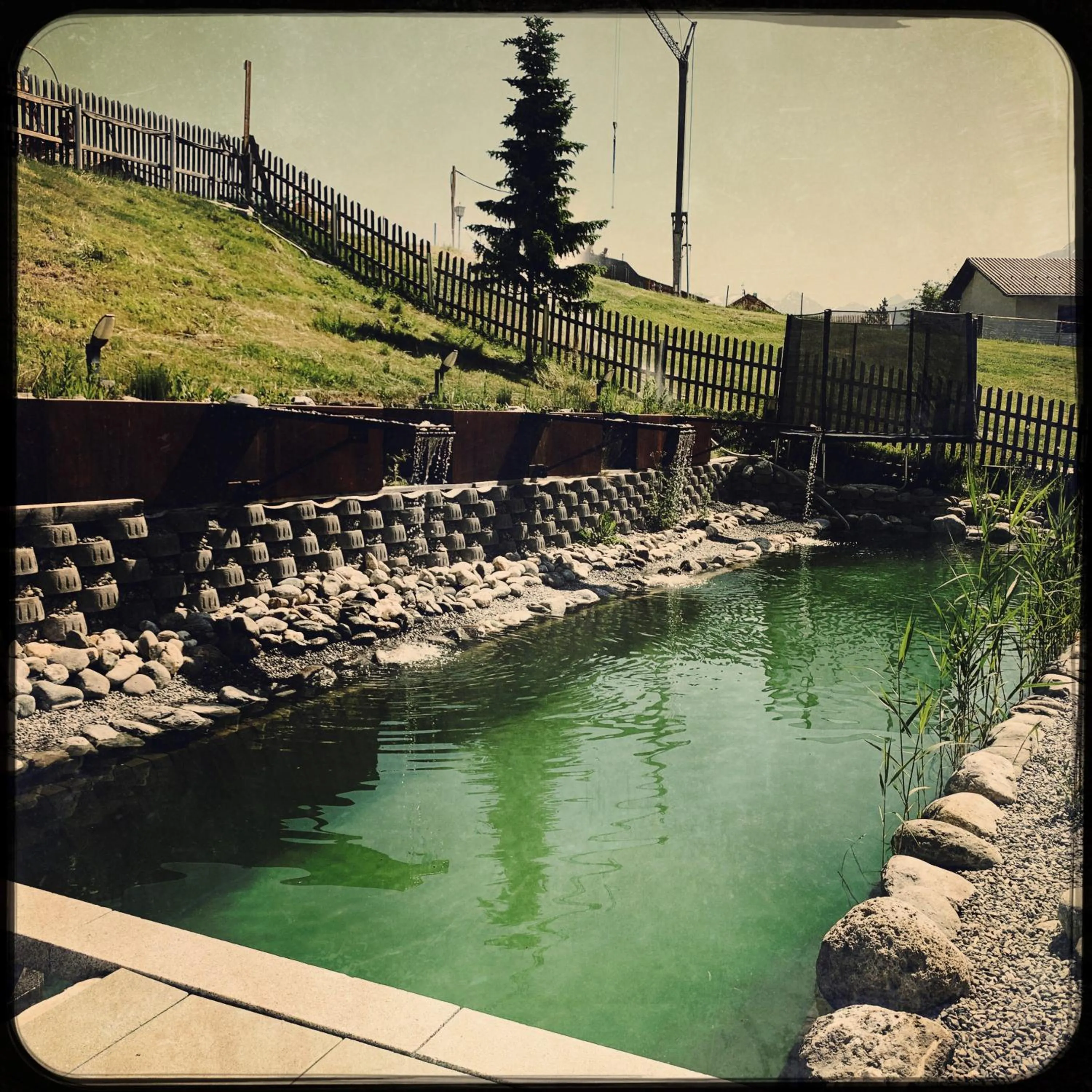 Garden in Hotel Garni Alpendiamant