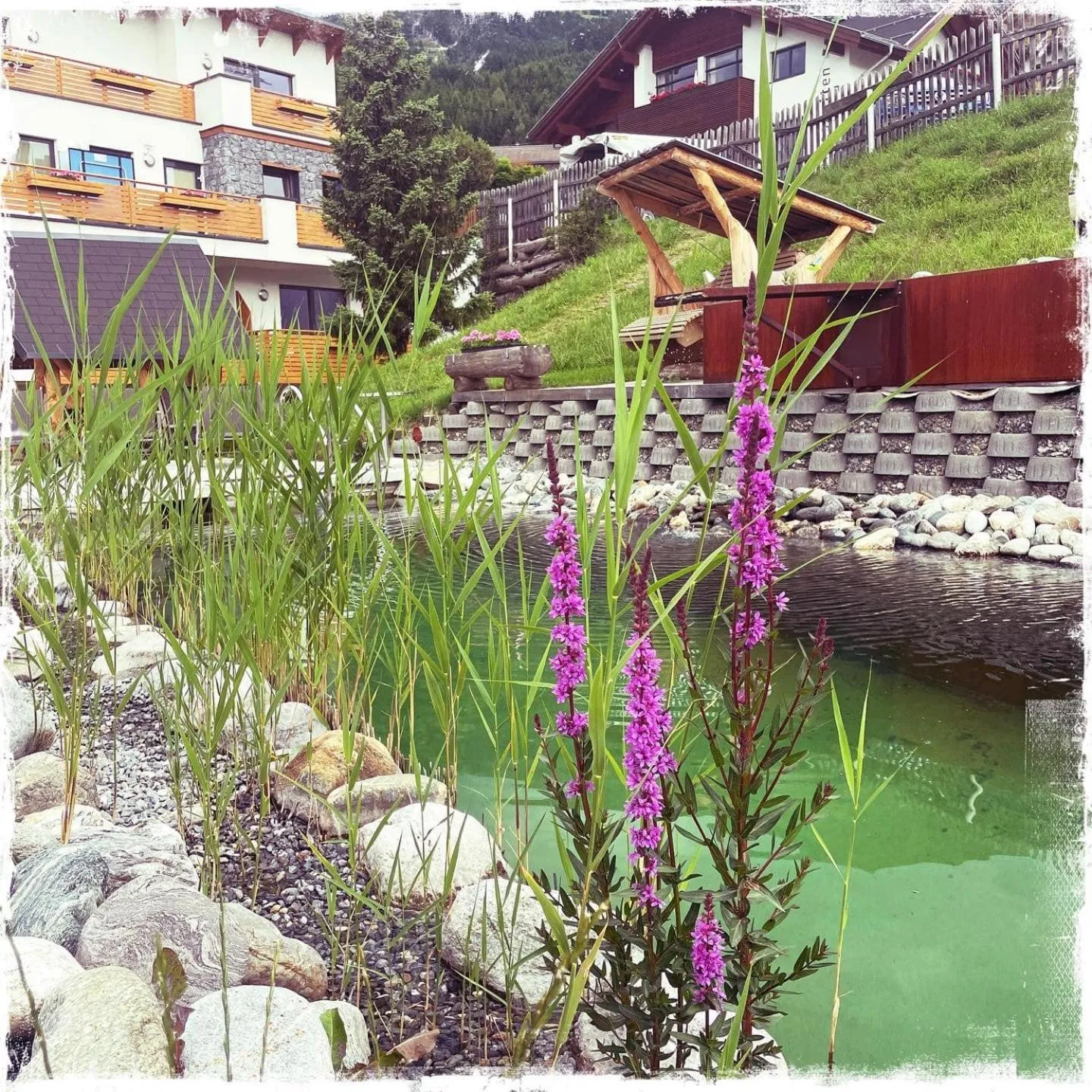 Garden in Hotel Garni Alpendiamant