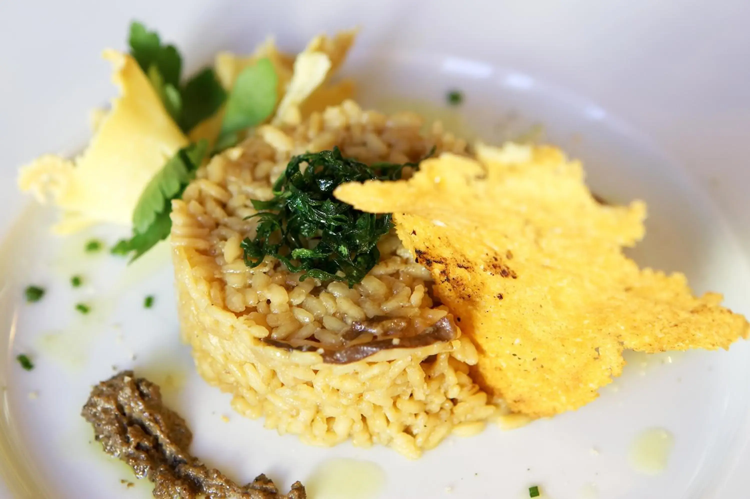 Food close-up in Hotel Sant Roc Food close-up in Hotel Sant Roc