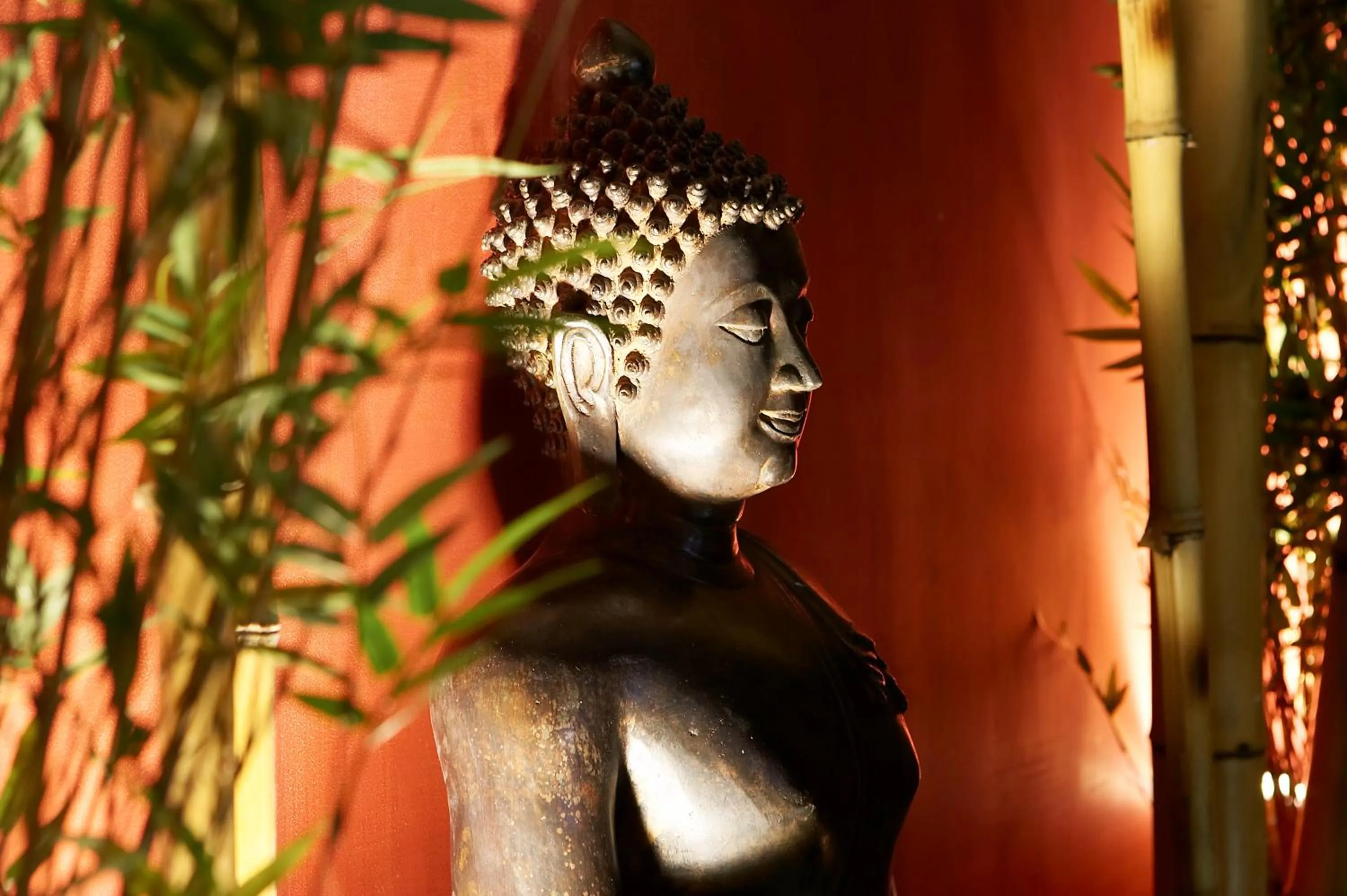 Spa and wellness centre/facilities in Hotel Sant Roc