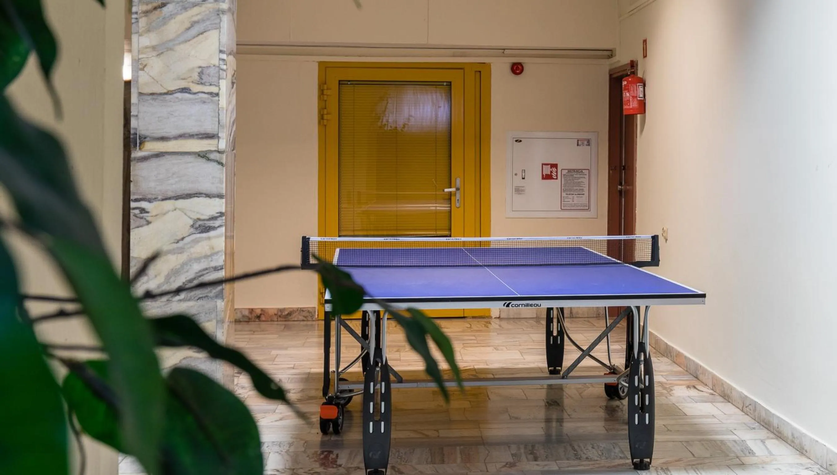 Table tennis in Hotel Boruta
