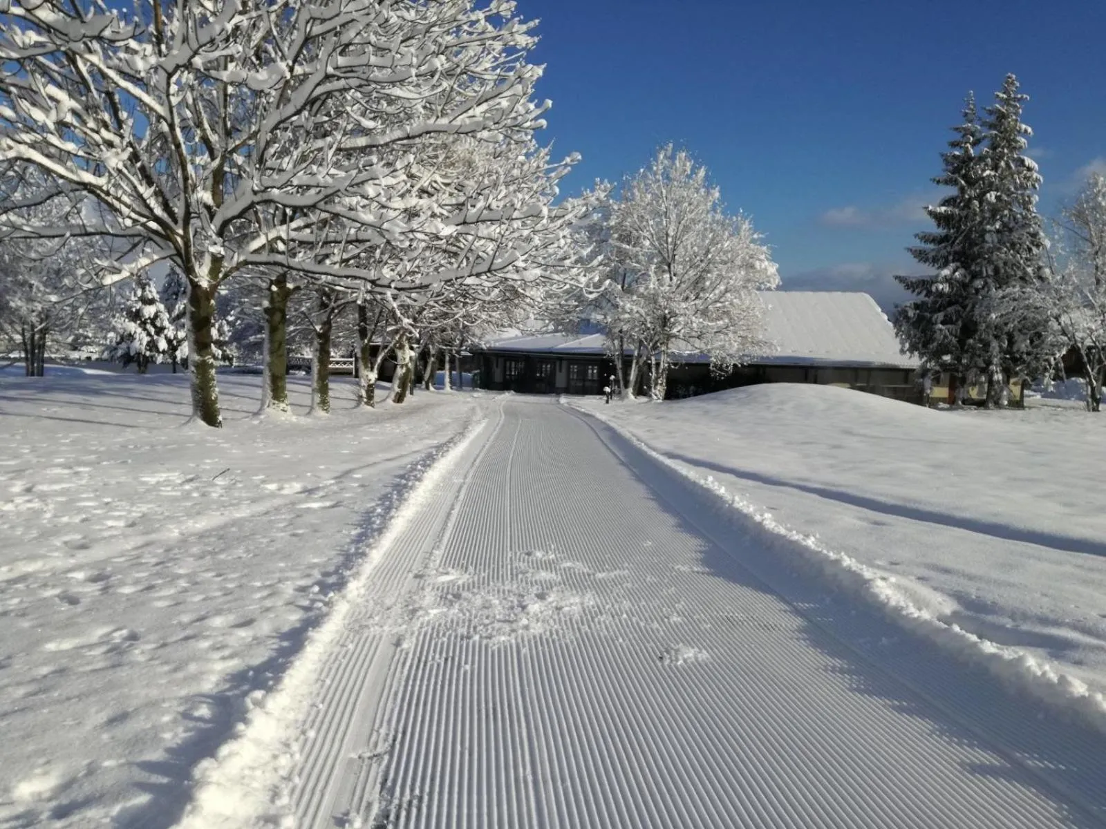 Winter in Club Apartments