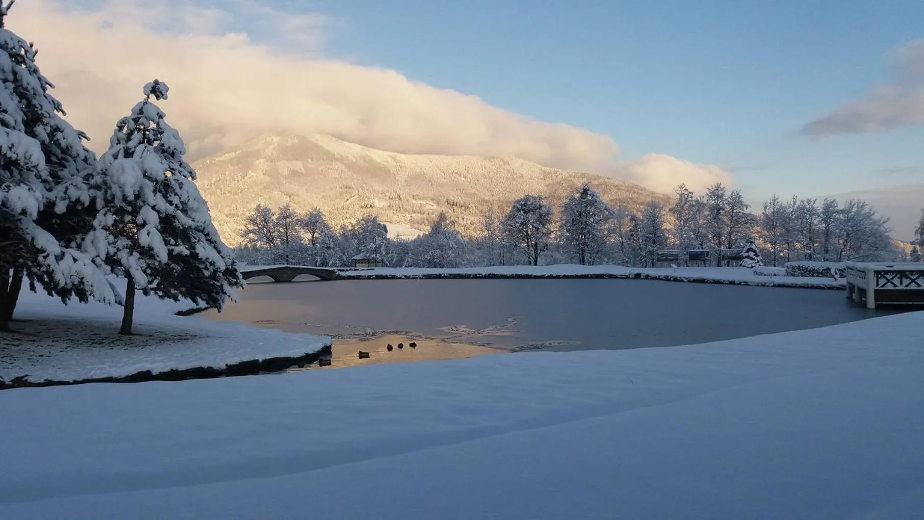 Neighbourhood in Club Apartments
