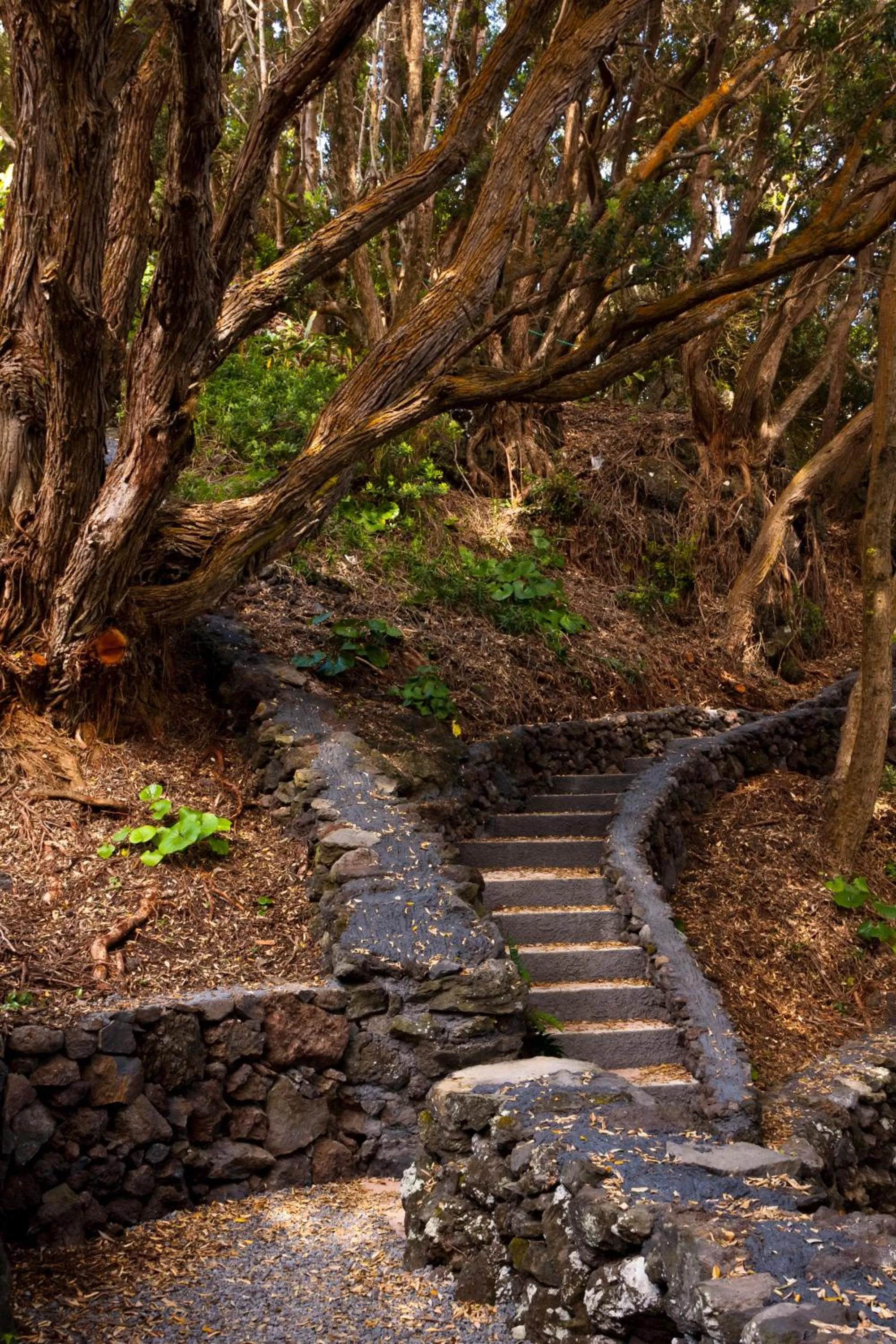 Natural landscape in Aldeia da Fonte Hotel
