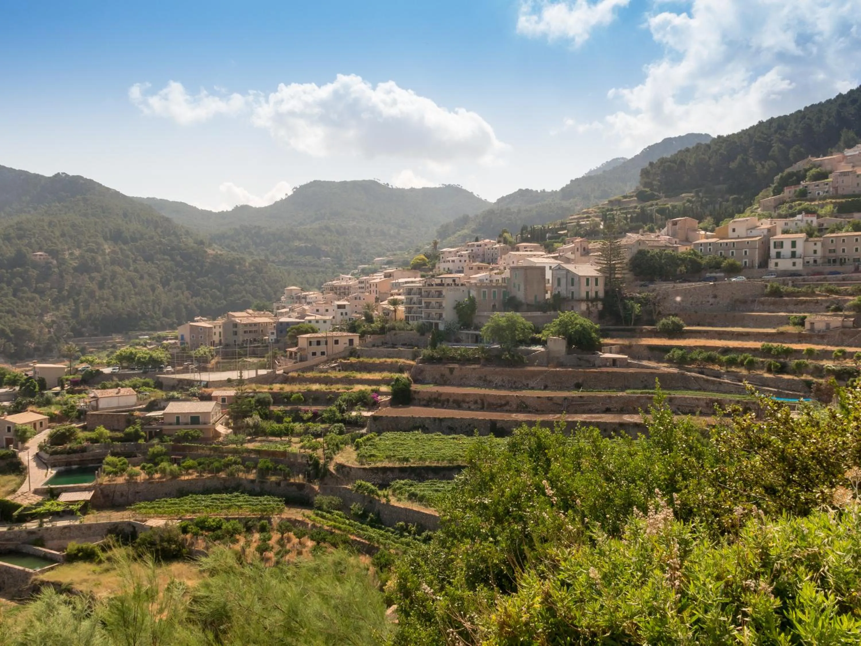 View (from property/room) in Hostal Sa Baronia