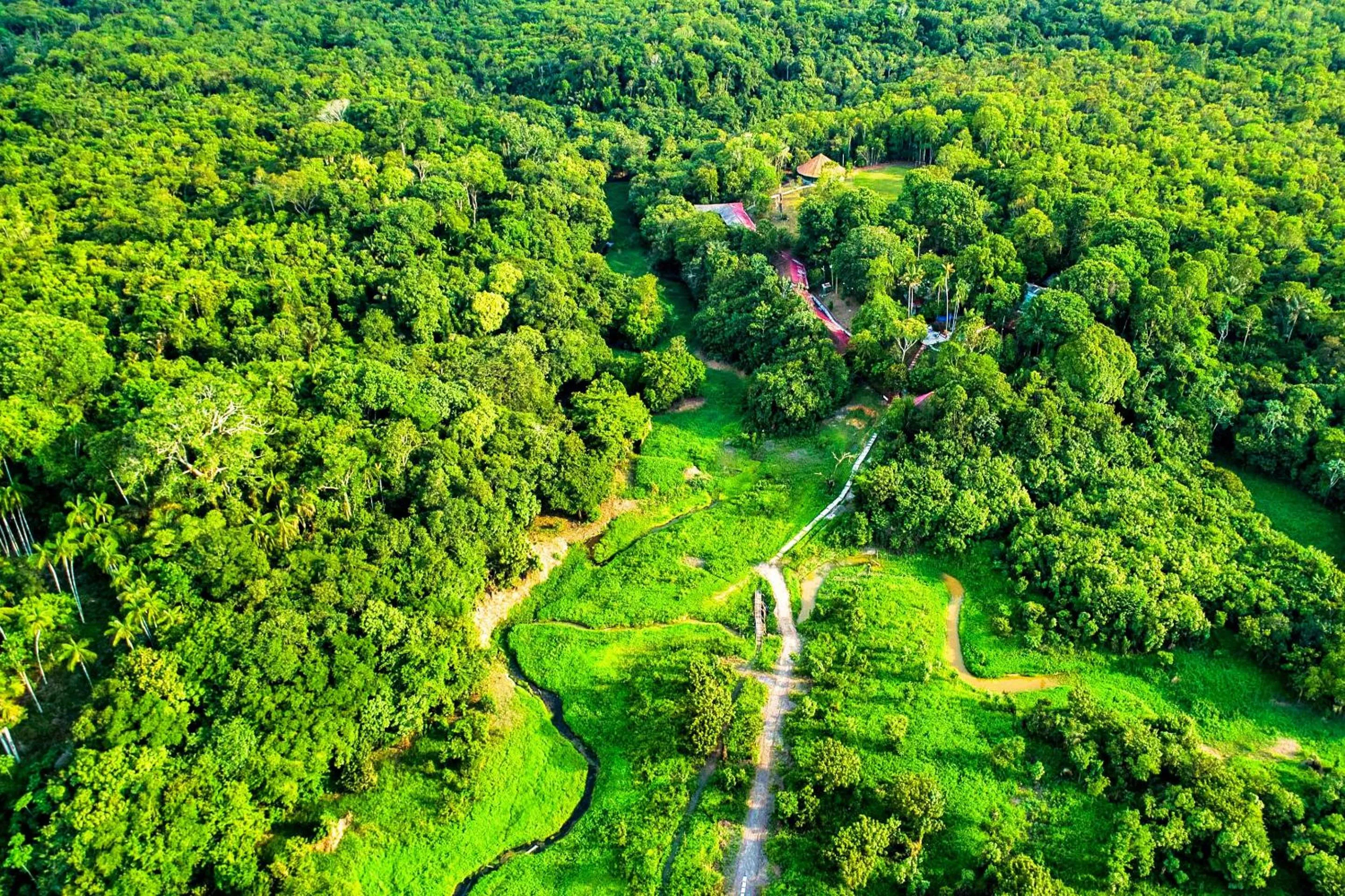 Other in Amazonia Jungle Hotel