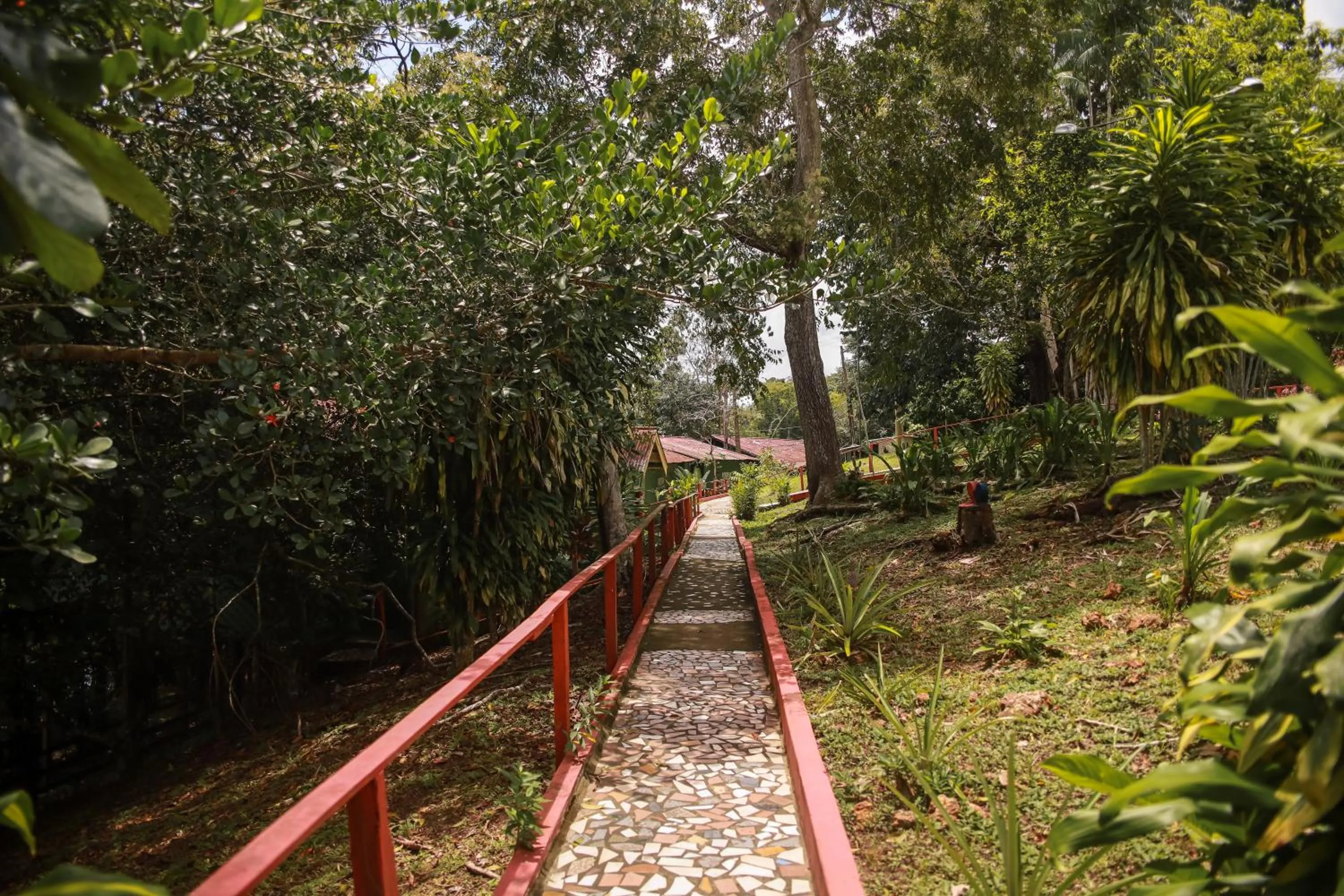 Amazonia Jungle Hotel