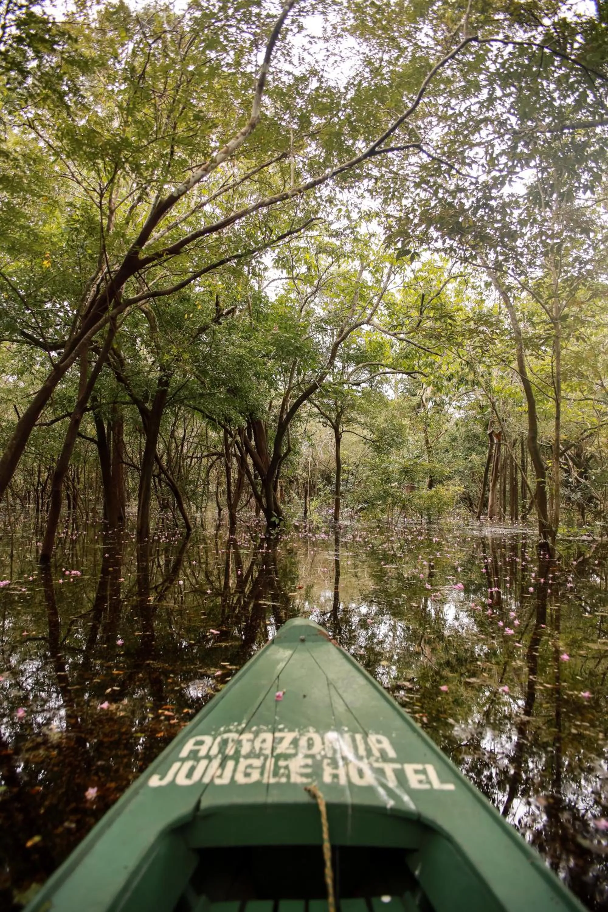 Amazonia Jungle Hotel