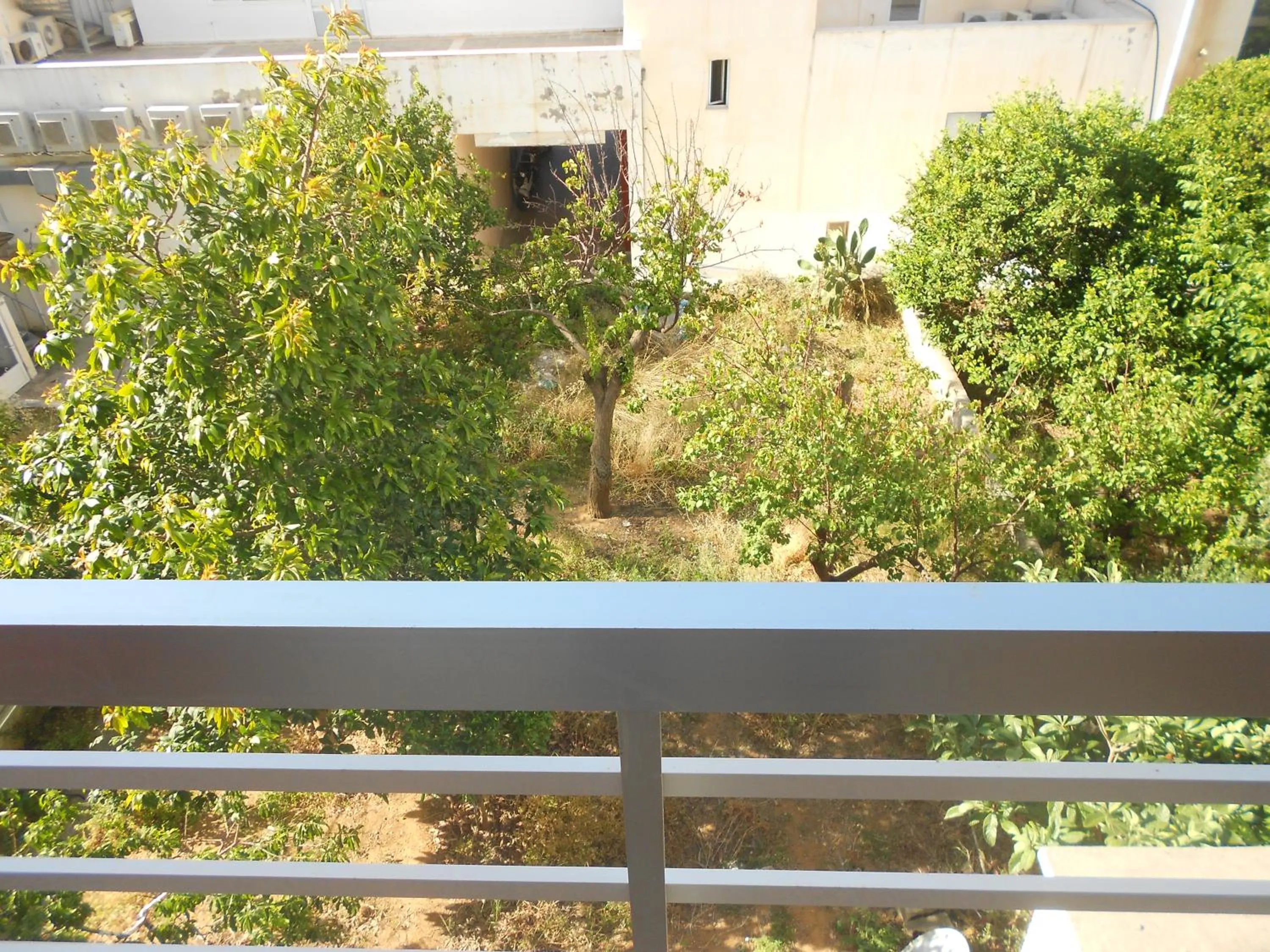 Balcony/Terrace in Paradise City