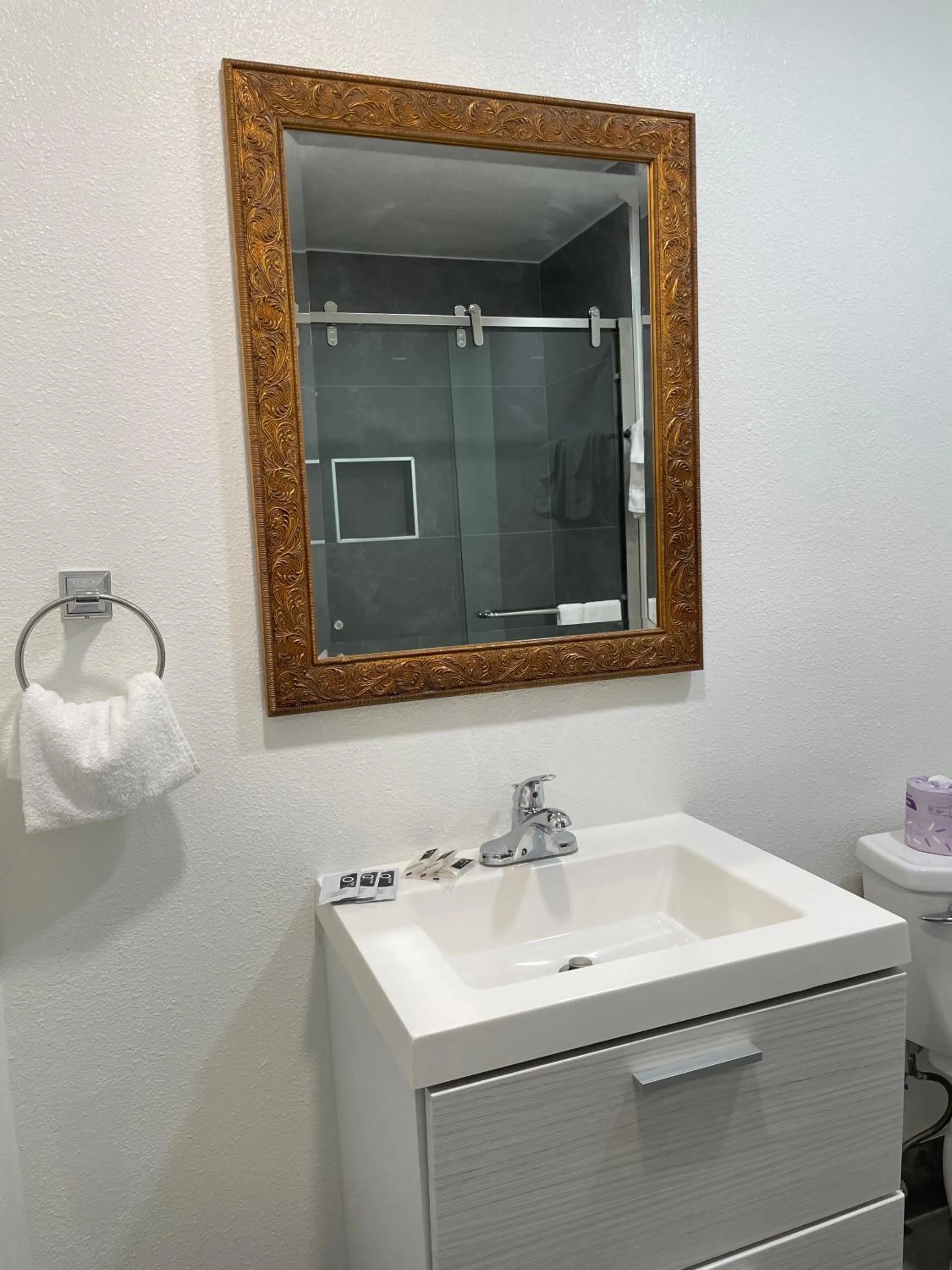 Bathroom in Ritz Inn-San Francisco Airport SFO