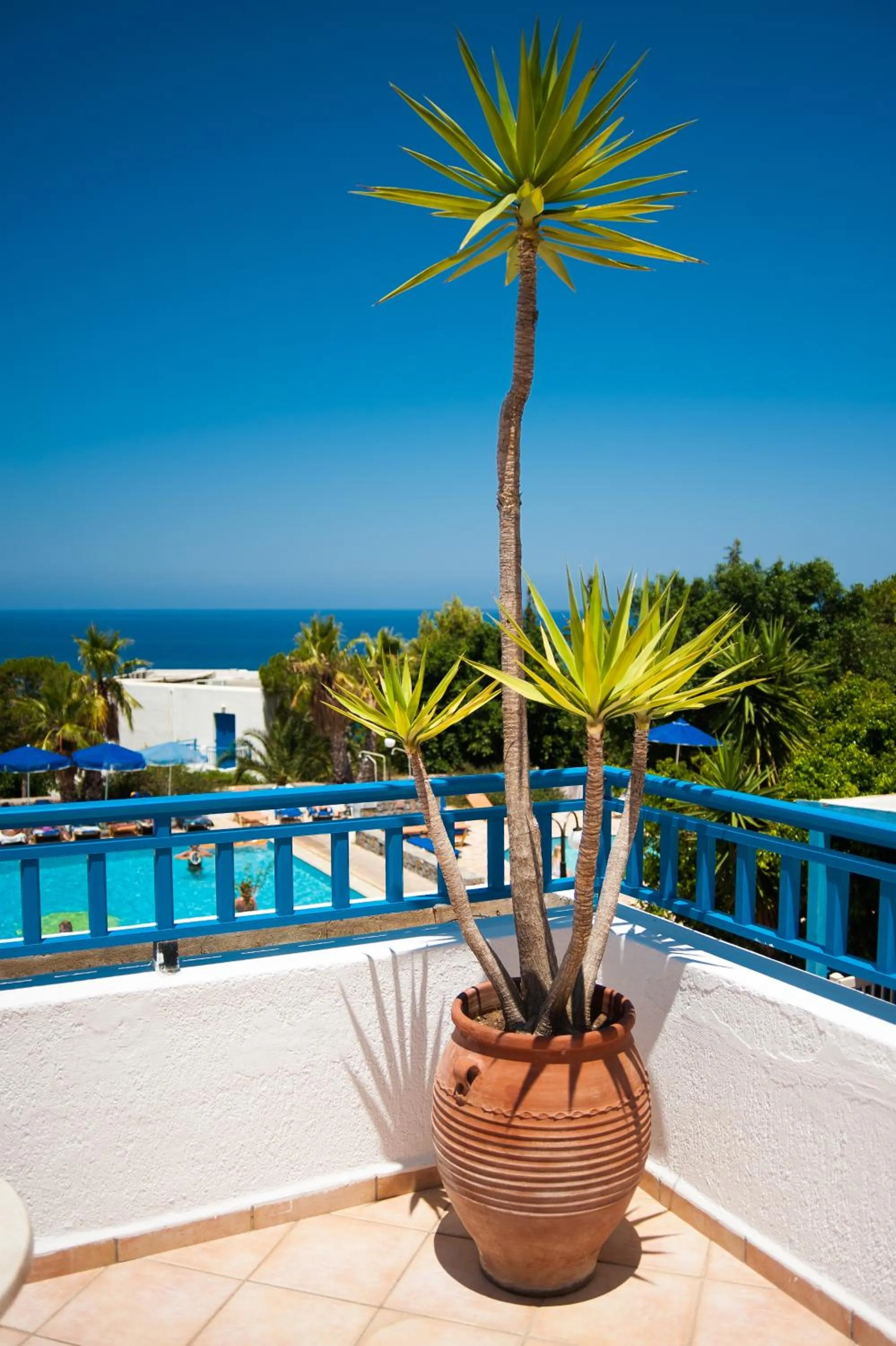 Sea view in Sunshine Village Hotel