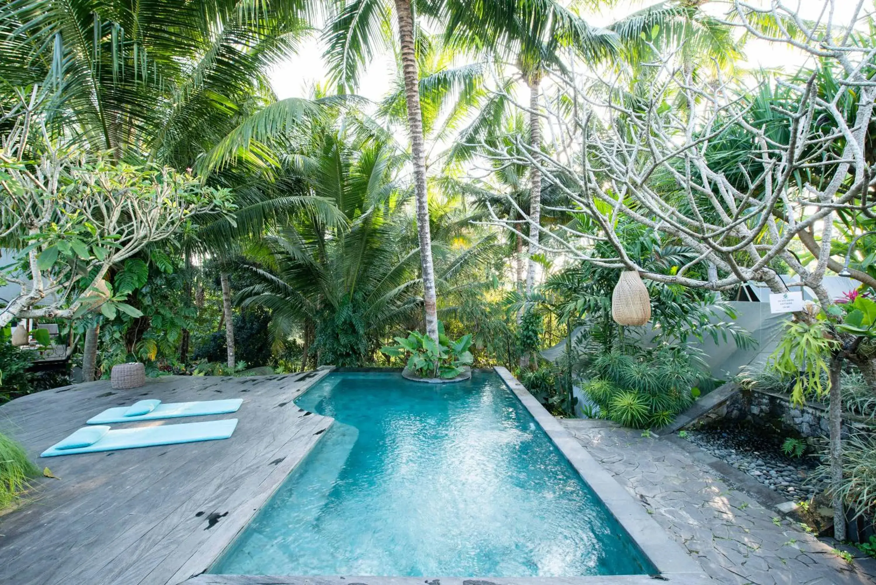 Garden, Swimming Pool in Ubud Tropical