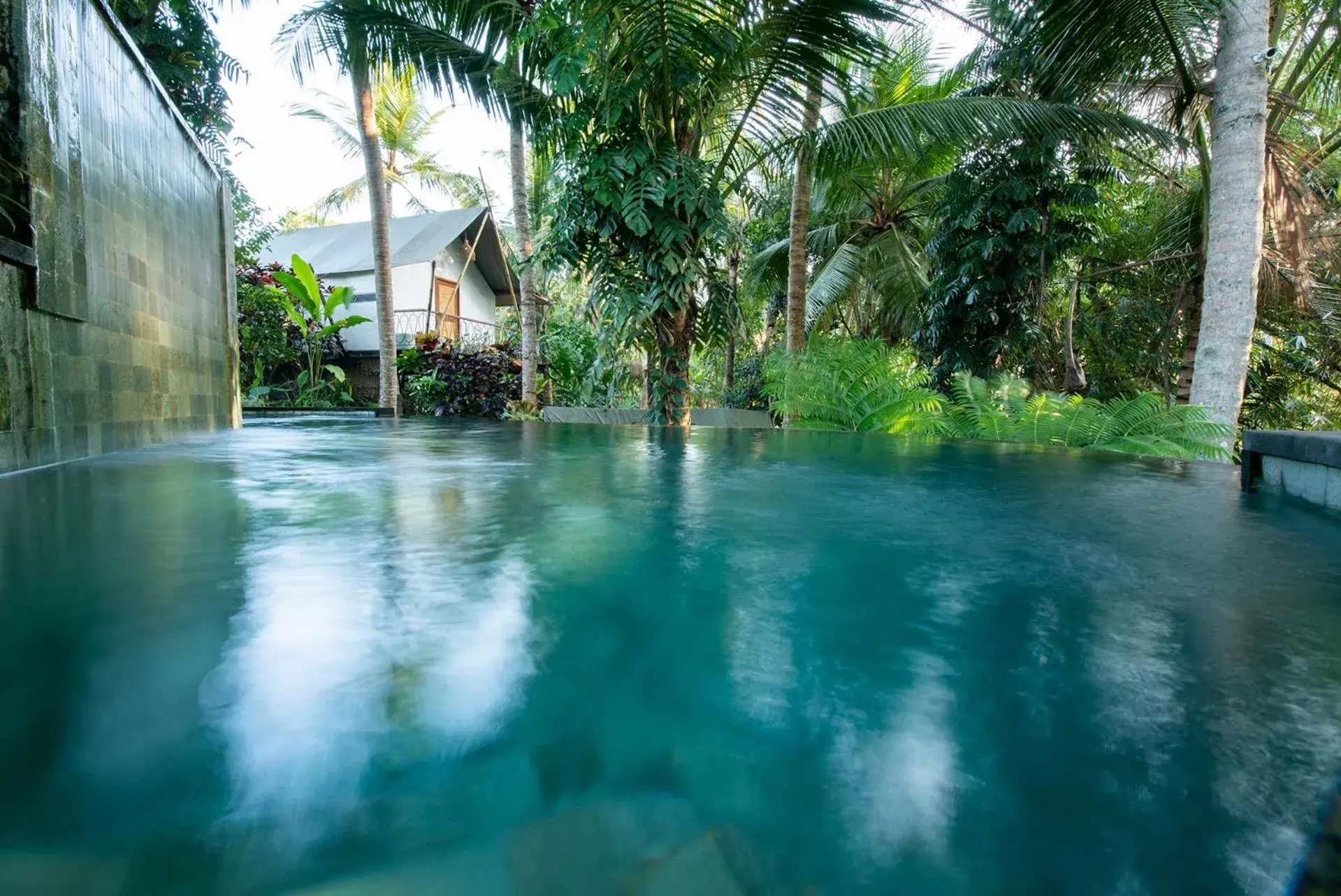 Swimming Pool in Ubud Tropical