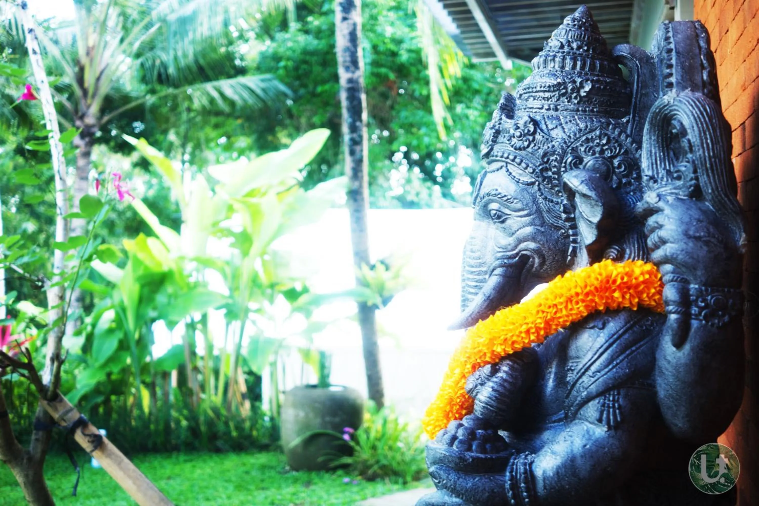 Garden in Ubud Tropical