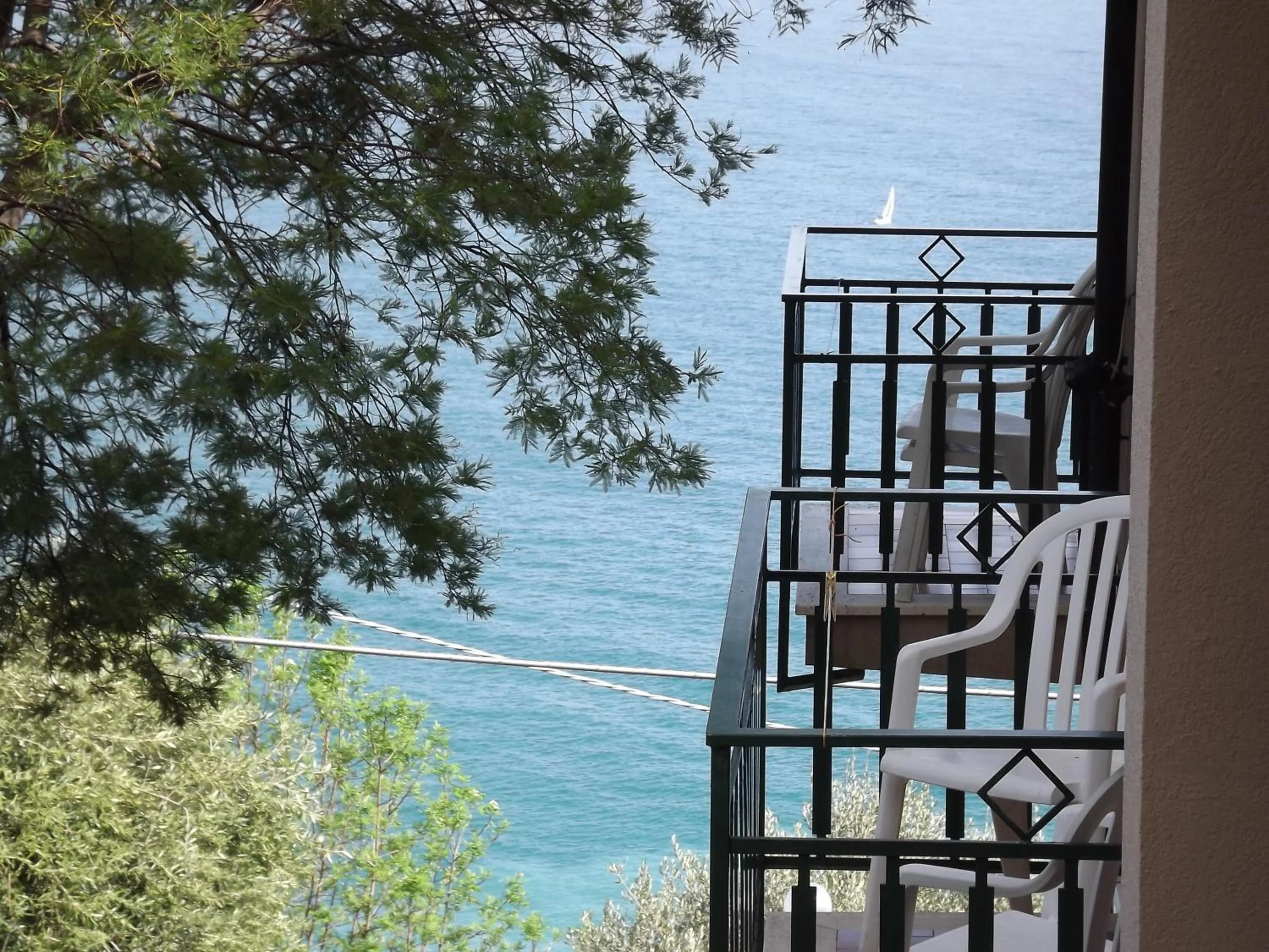 Garden view in Hotel Rosita