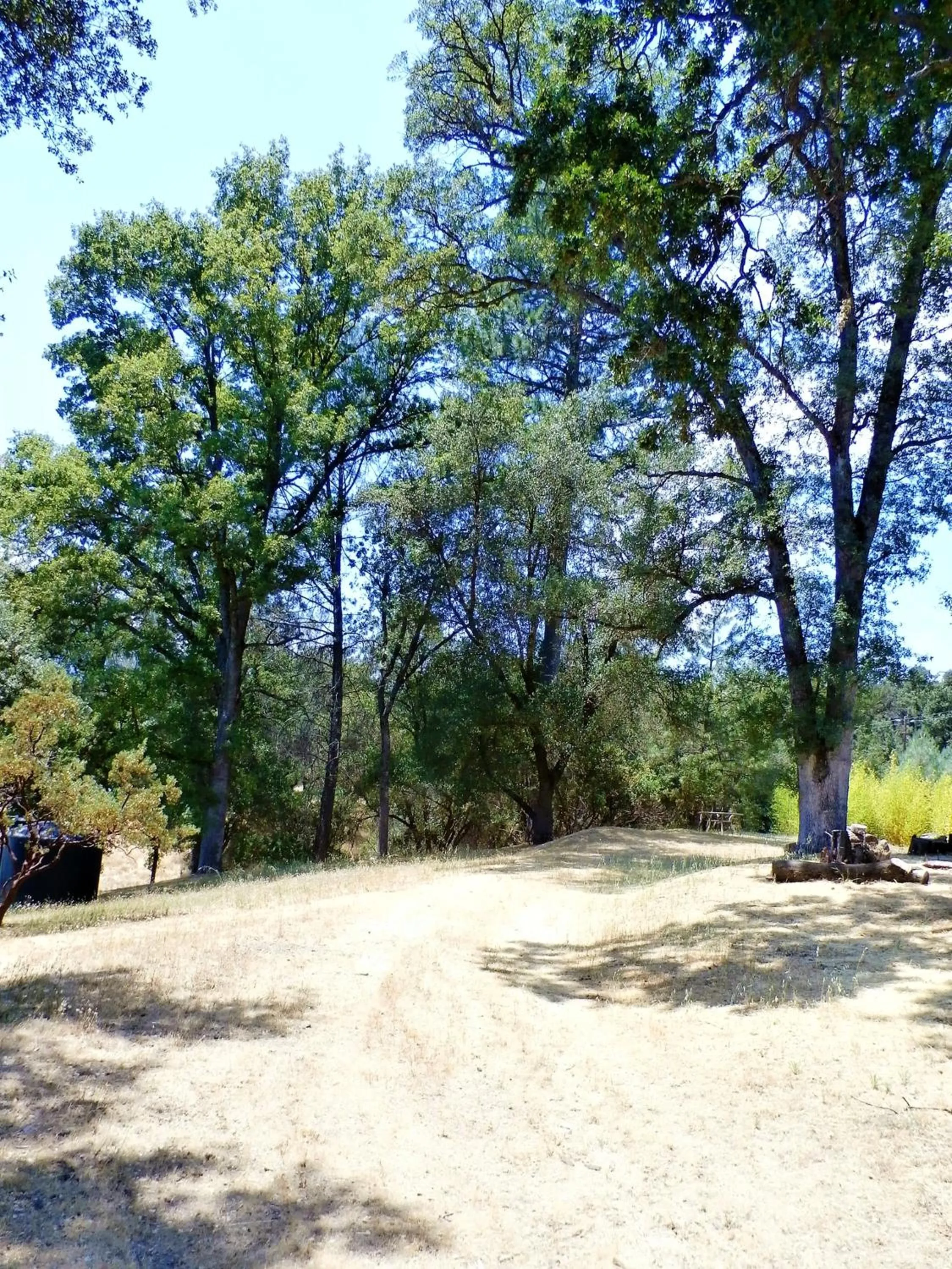 NEW CHARMING 2 BEDROOMS UNIT CLOSE TO EVERYTHING