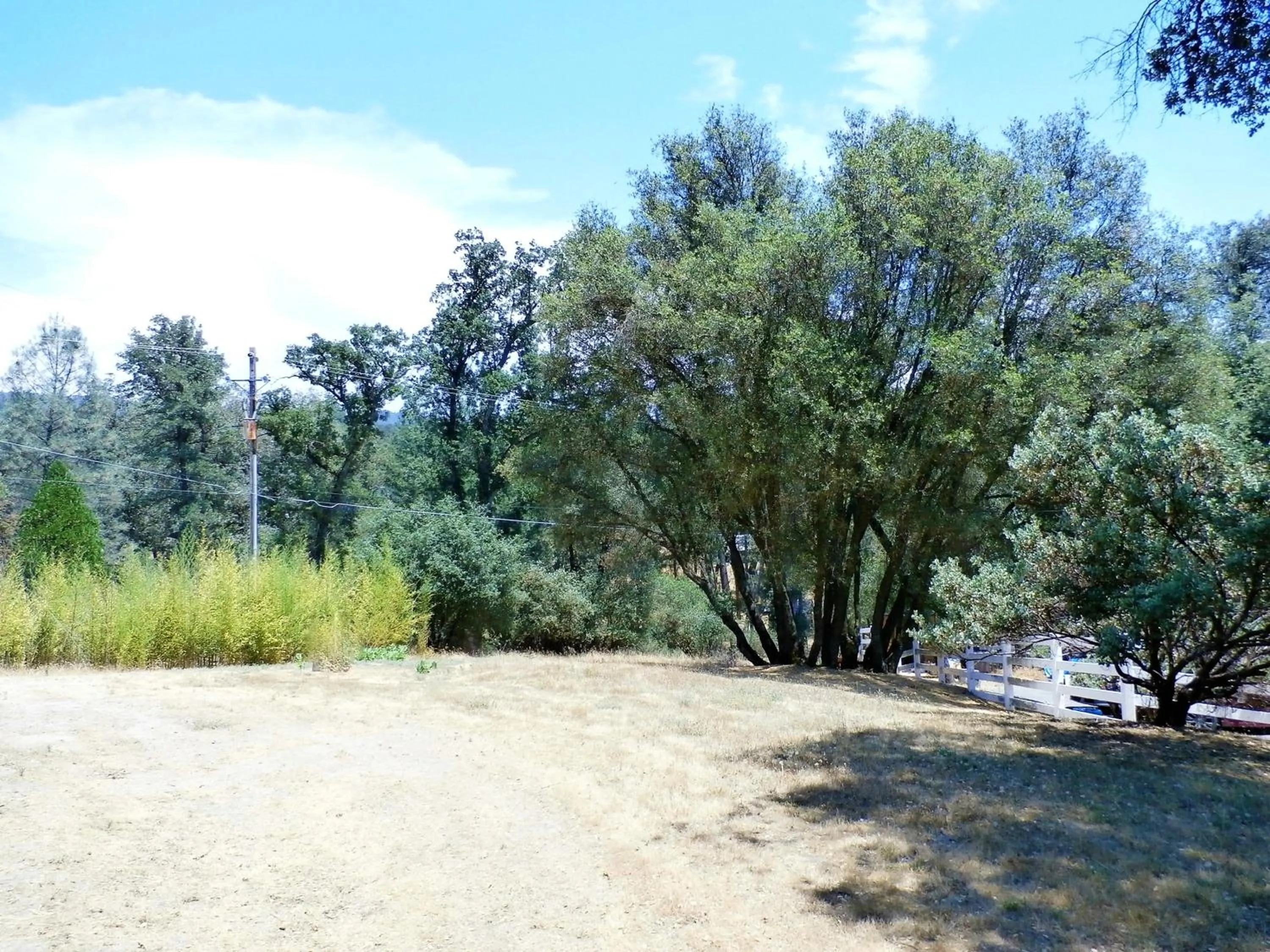 NEW CHARMING 2 BEDROOMS UNIT CLOSE TO EVERYTHING