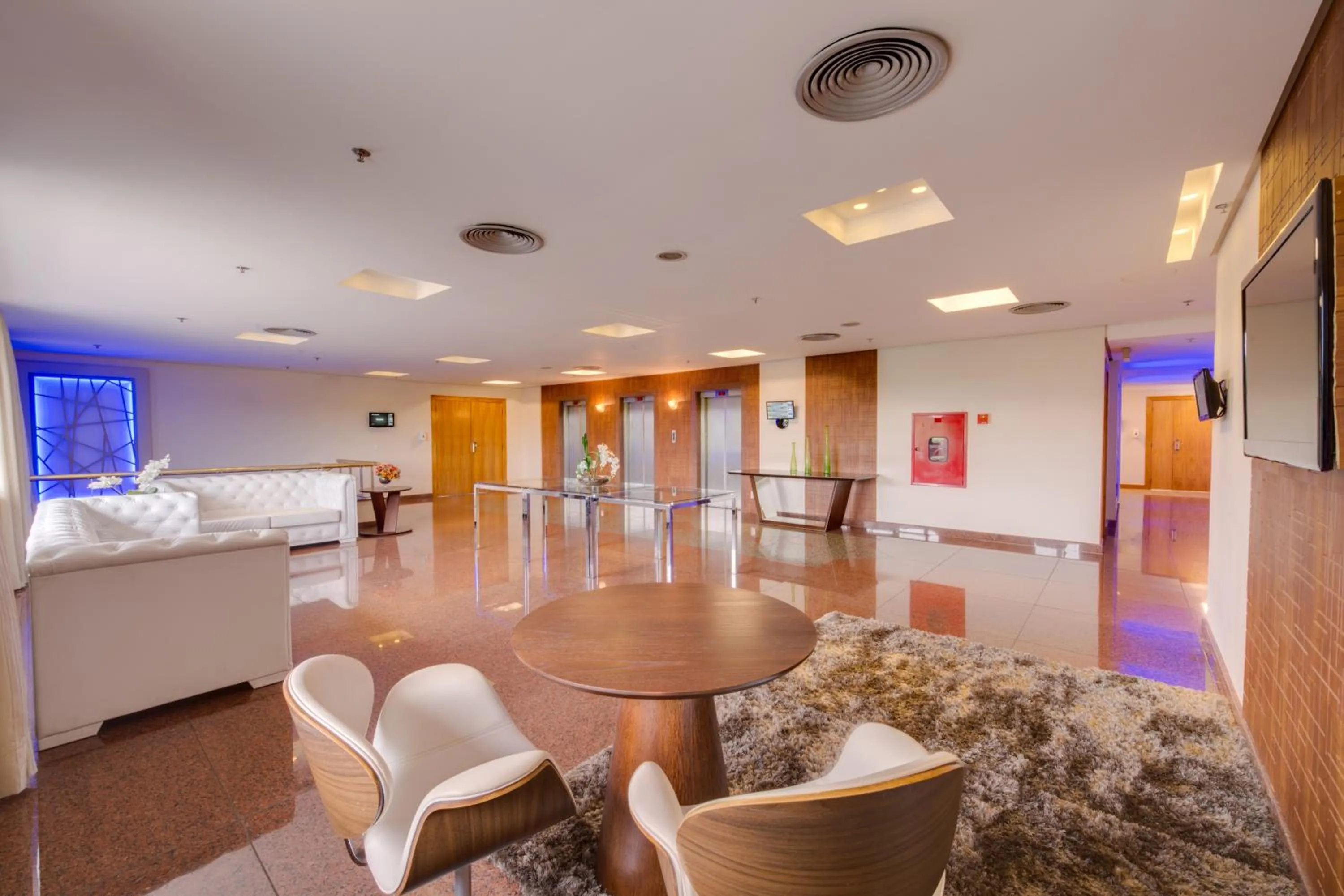 Decorative detail in Blue Tree Towers Millenium Porto Alegre