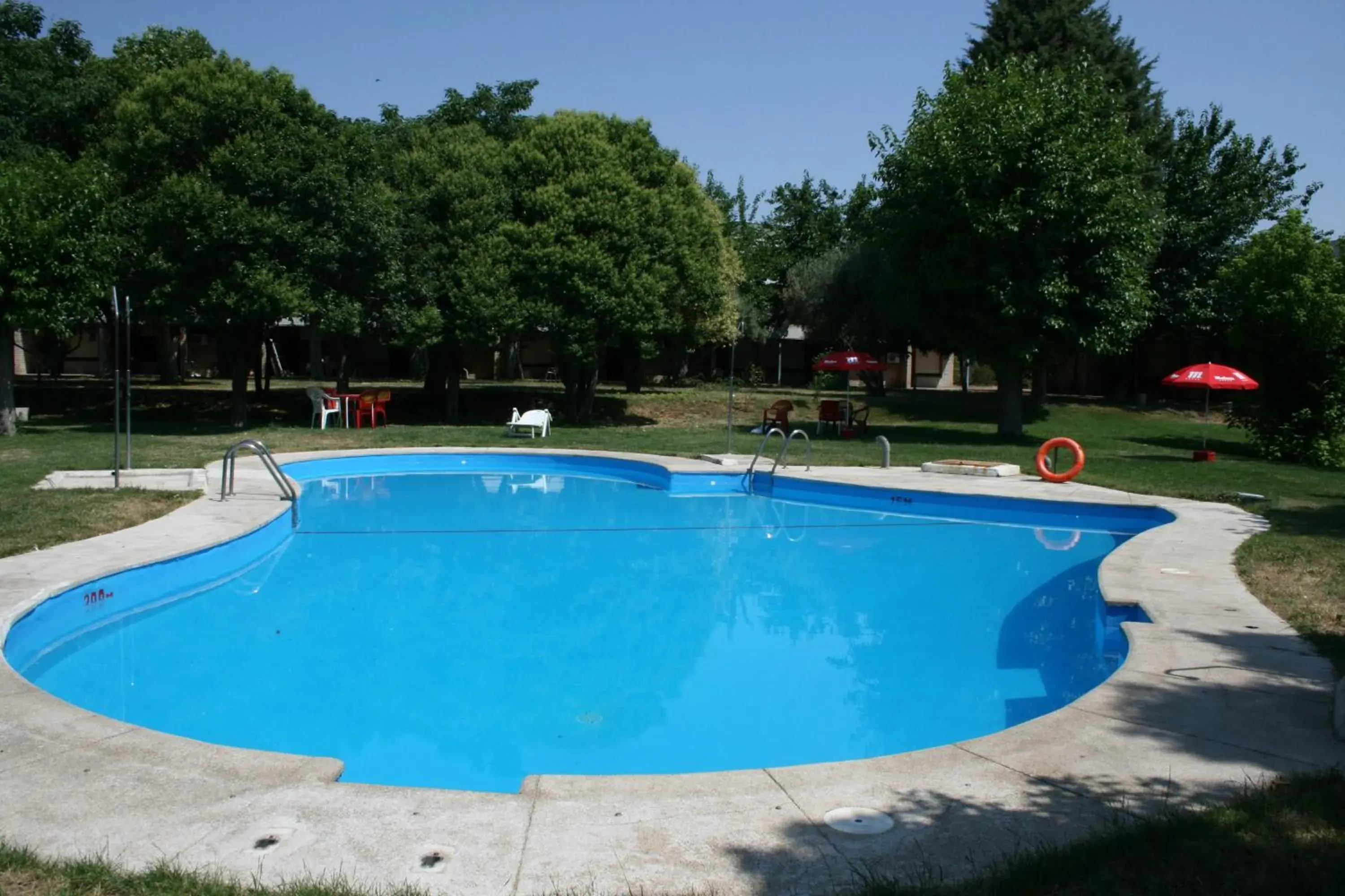 Pool view, Swimming Pool in Hotel Los Olivos