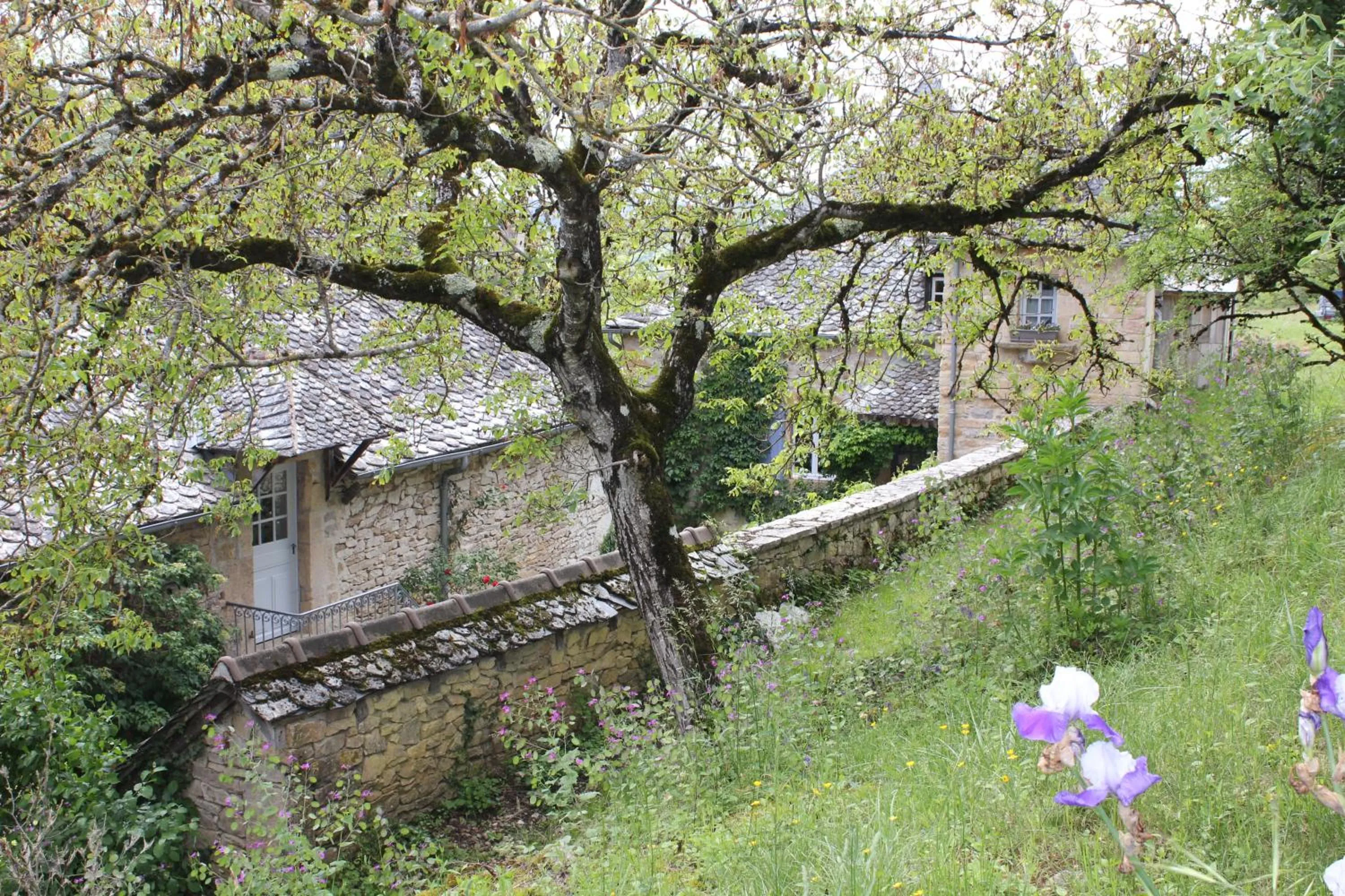 Garden in Les Terrasses de Labade Gîte et Chambres d'hôtes