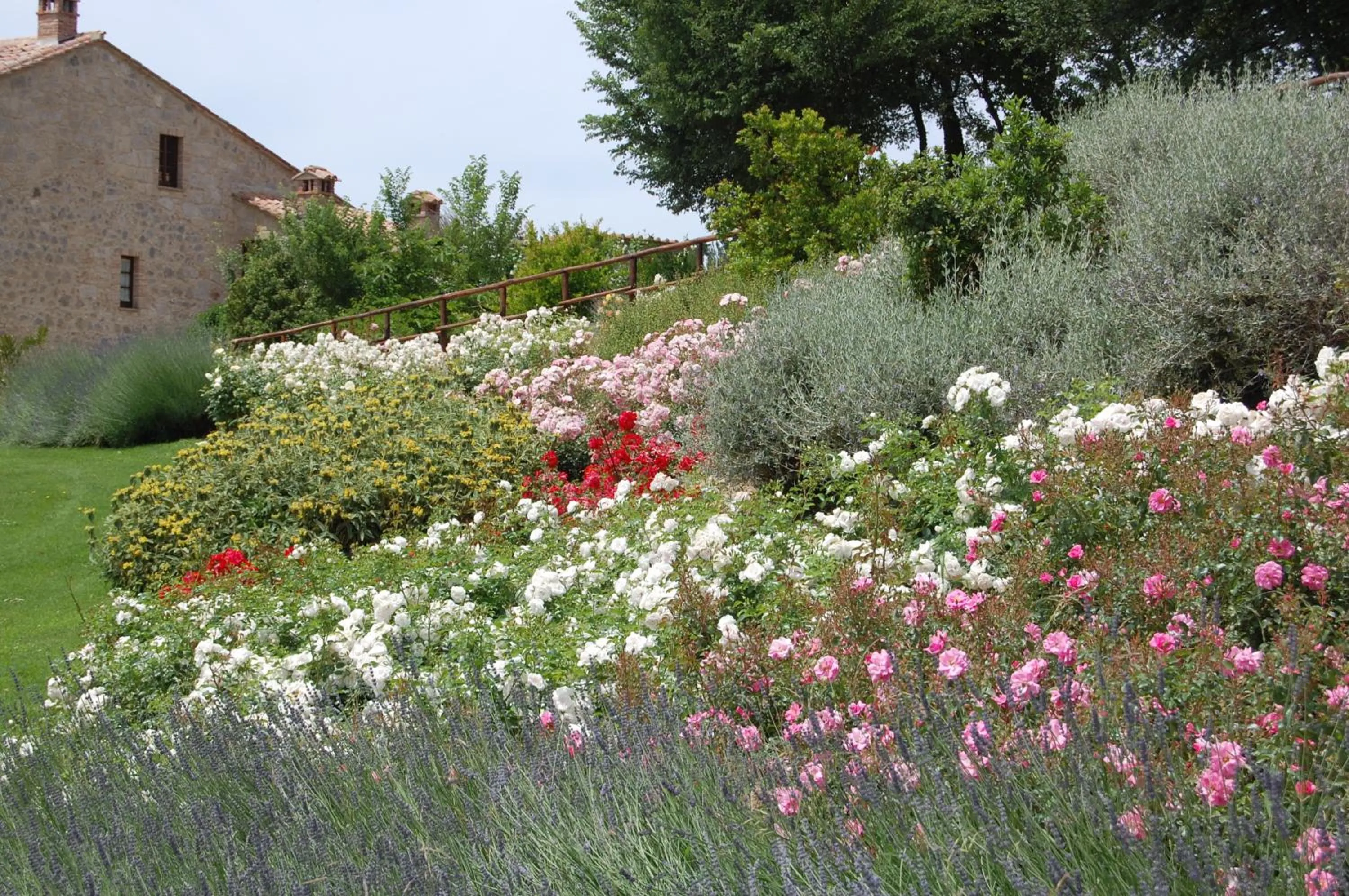 Garden view in Borgo Fastelli