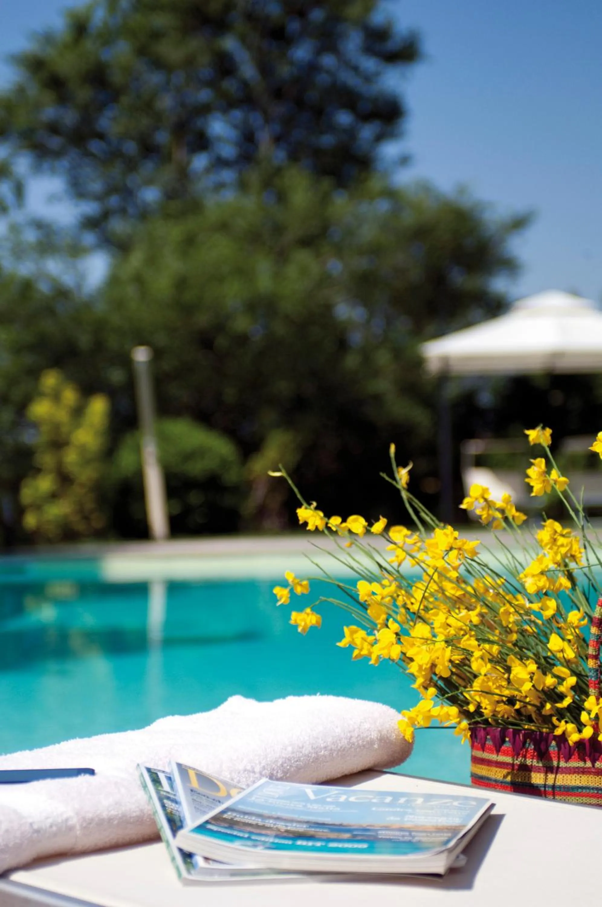 Swimming pool in Borgo Fastelli